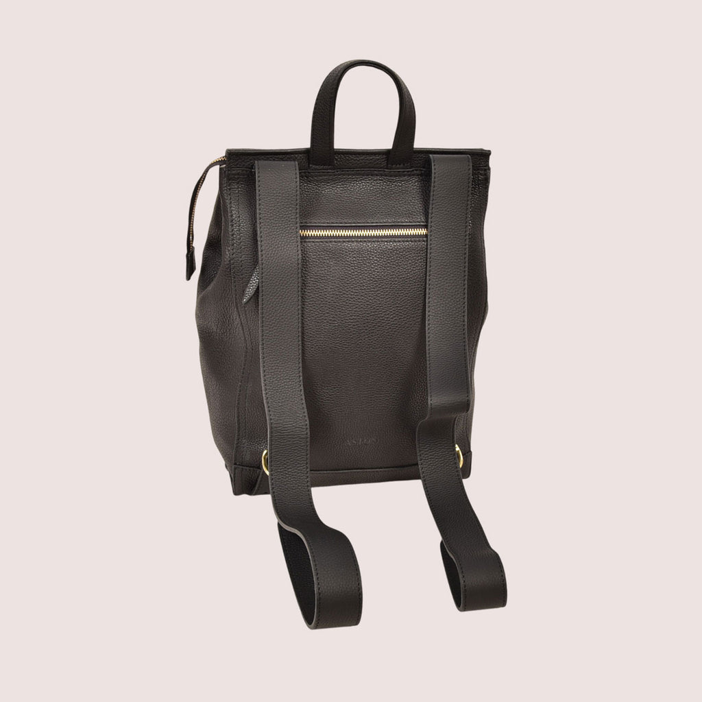 Franzen Backpack