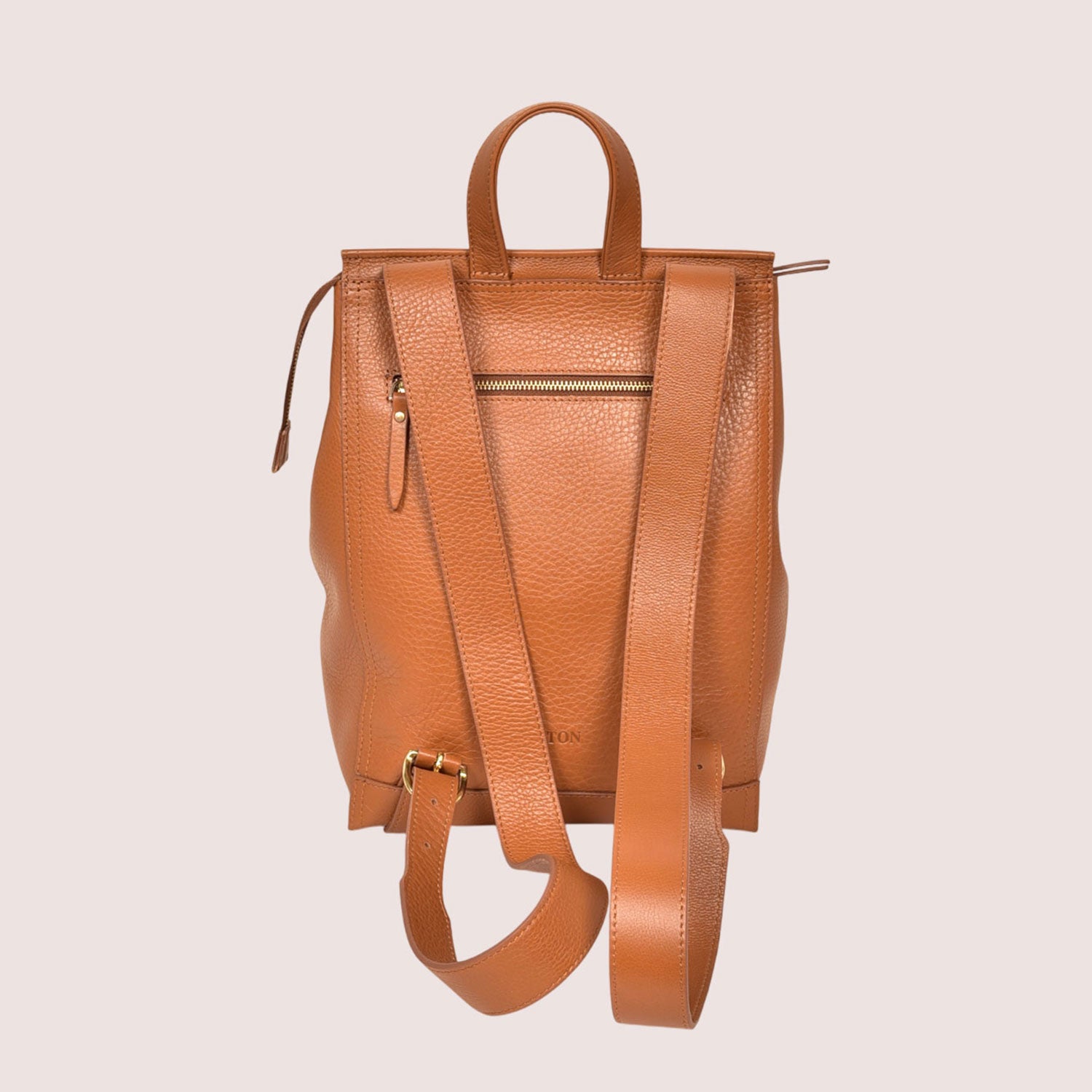 Franzen Backpack-4