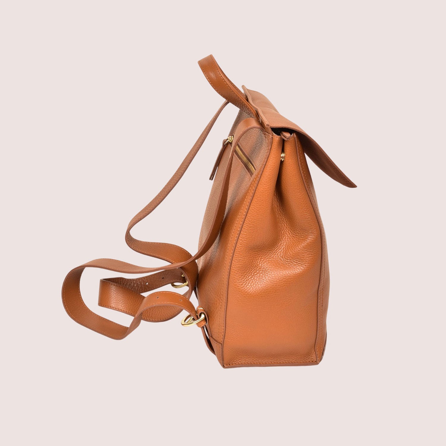 Franzen Backpack