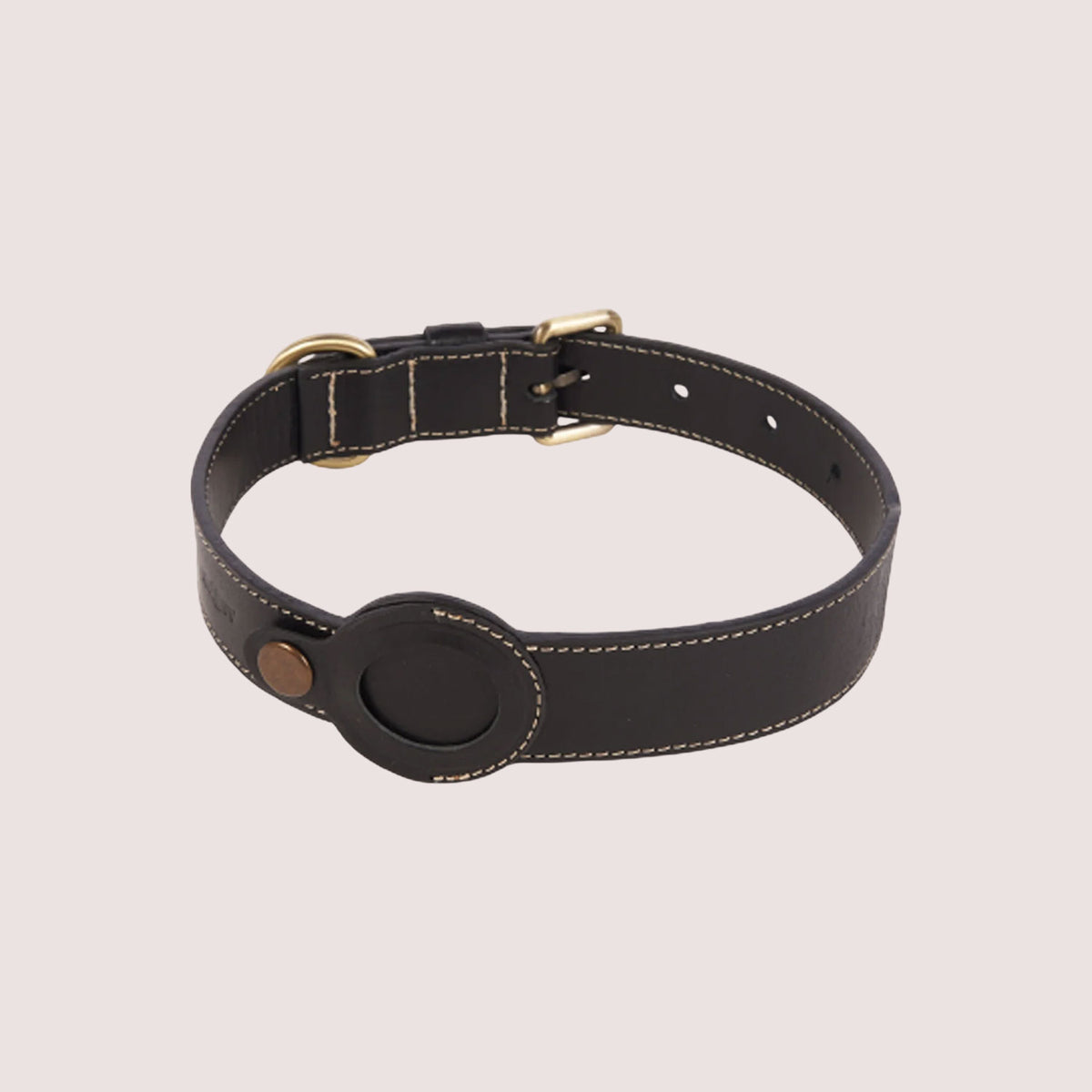 Dog Collar with Air Tag-8