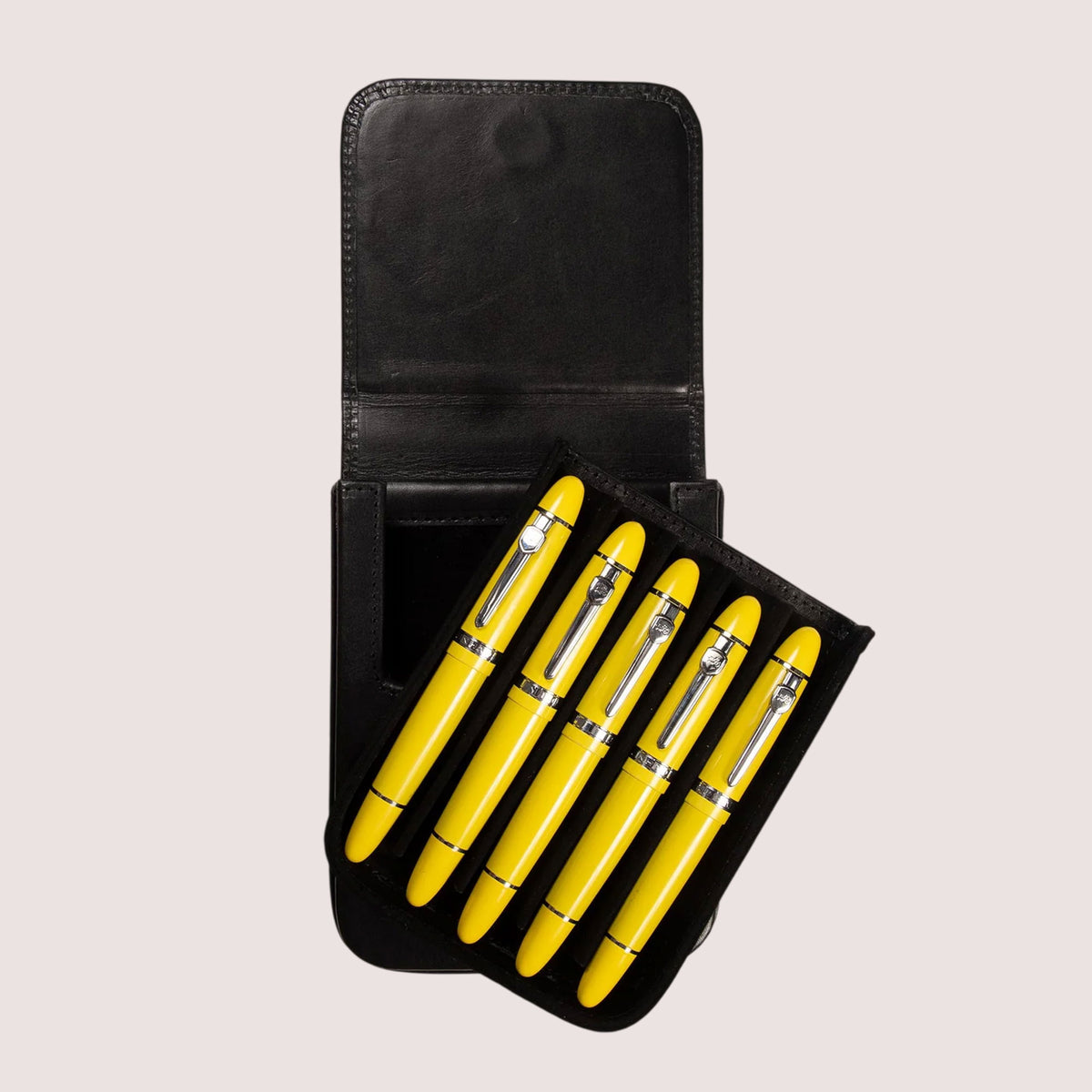 Five Slots Pen Case-10