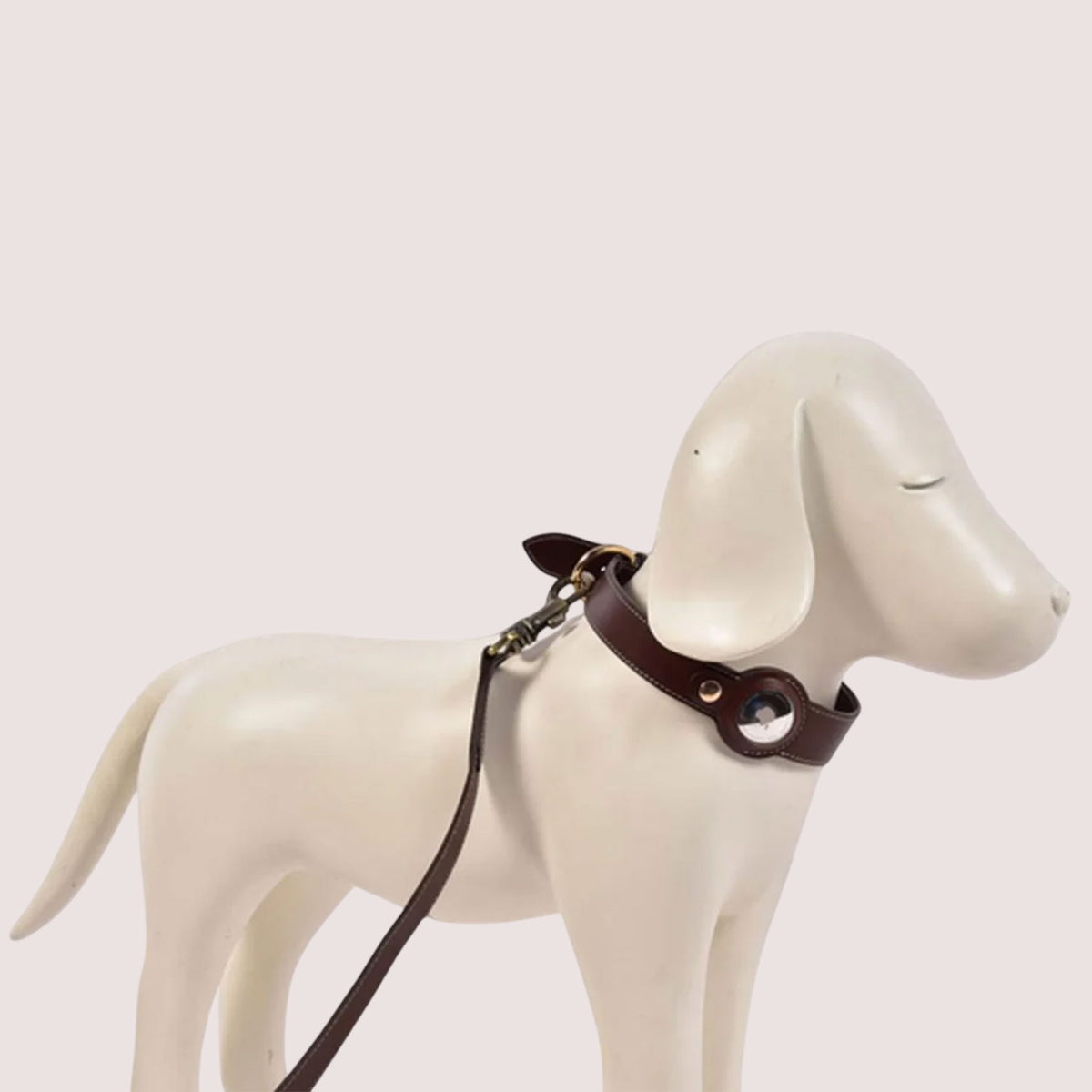 Dog Collar with Air Tag-11