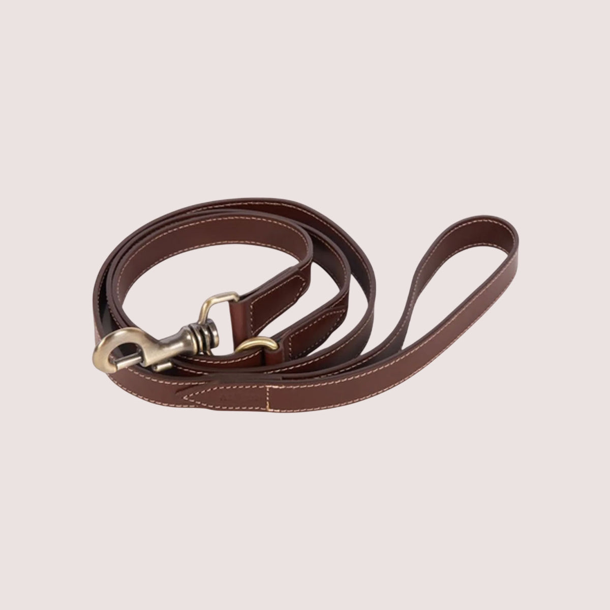 Dog Leash-6