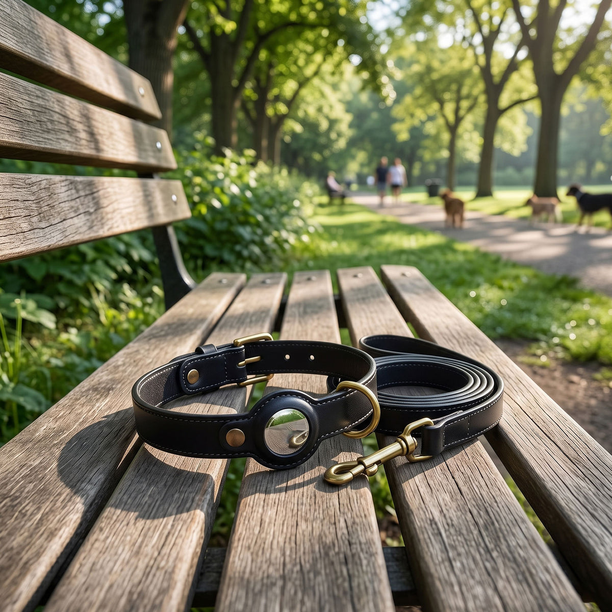Dog Collar & Leash Combo-9