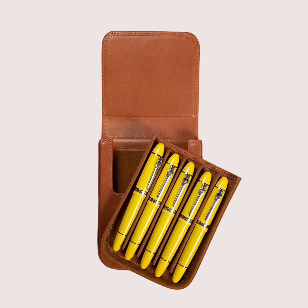 Five Slots Pen Case-4