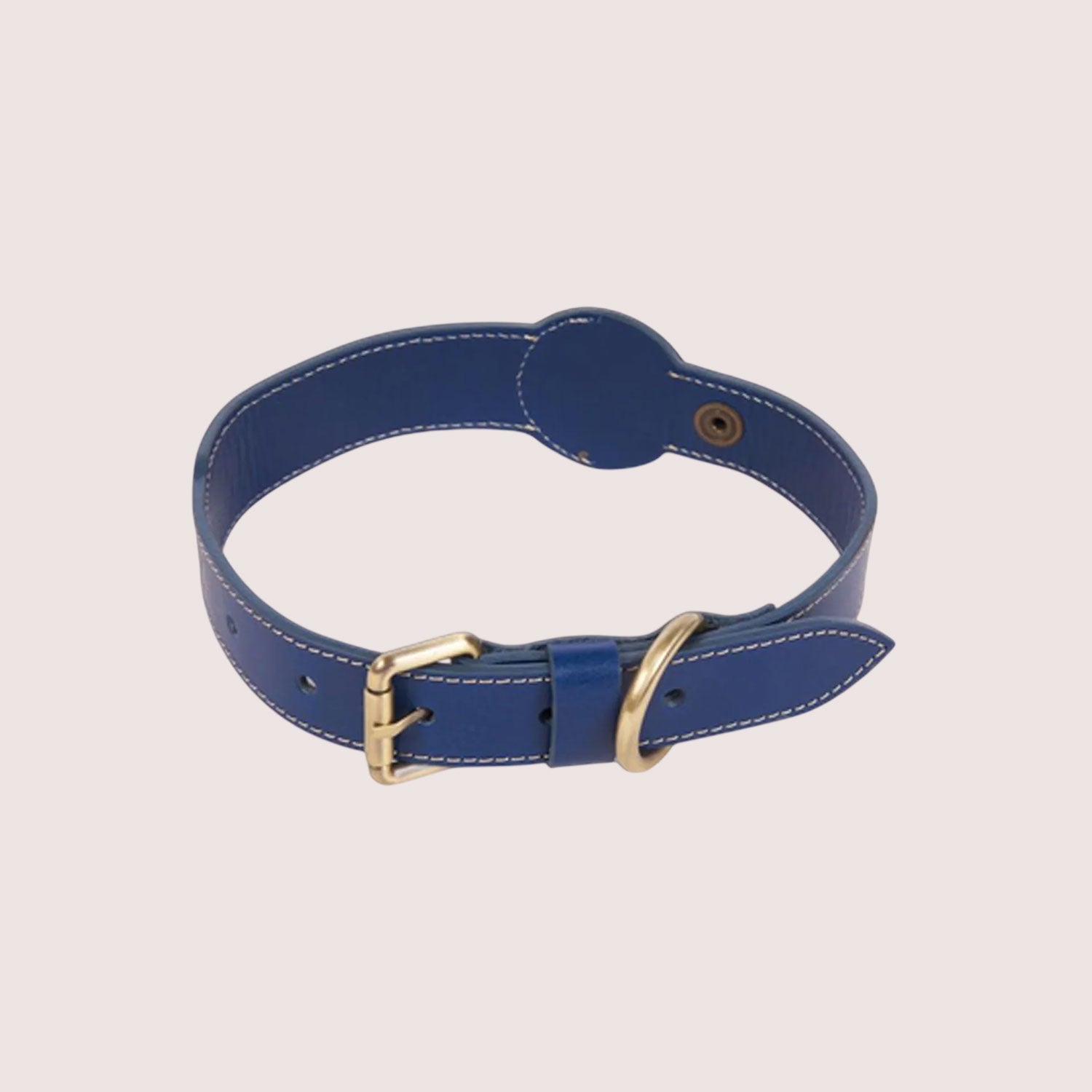 Dog Collar with Air Tag