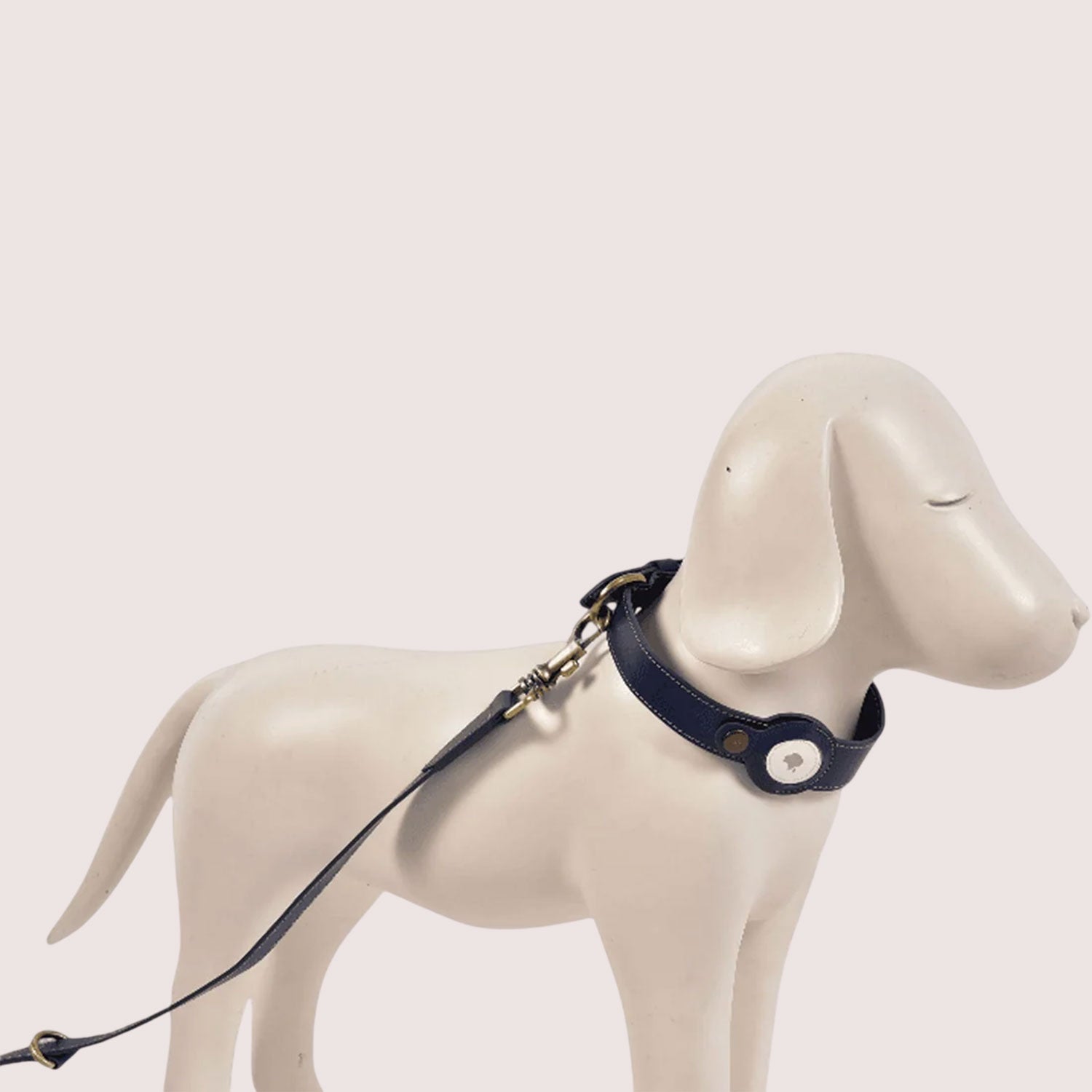 Dog Collar with Air Tag-3
