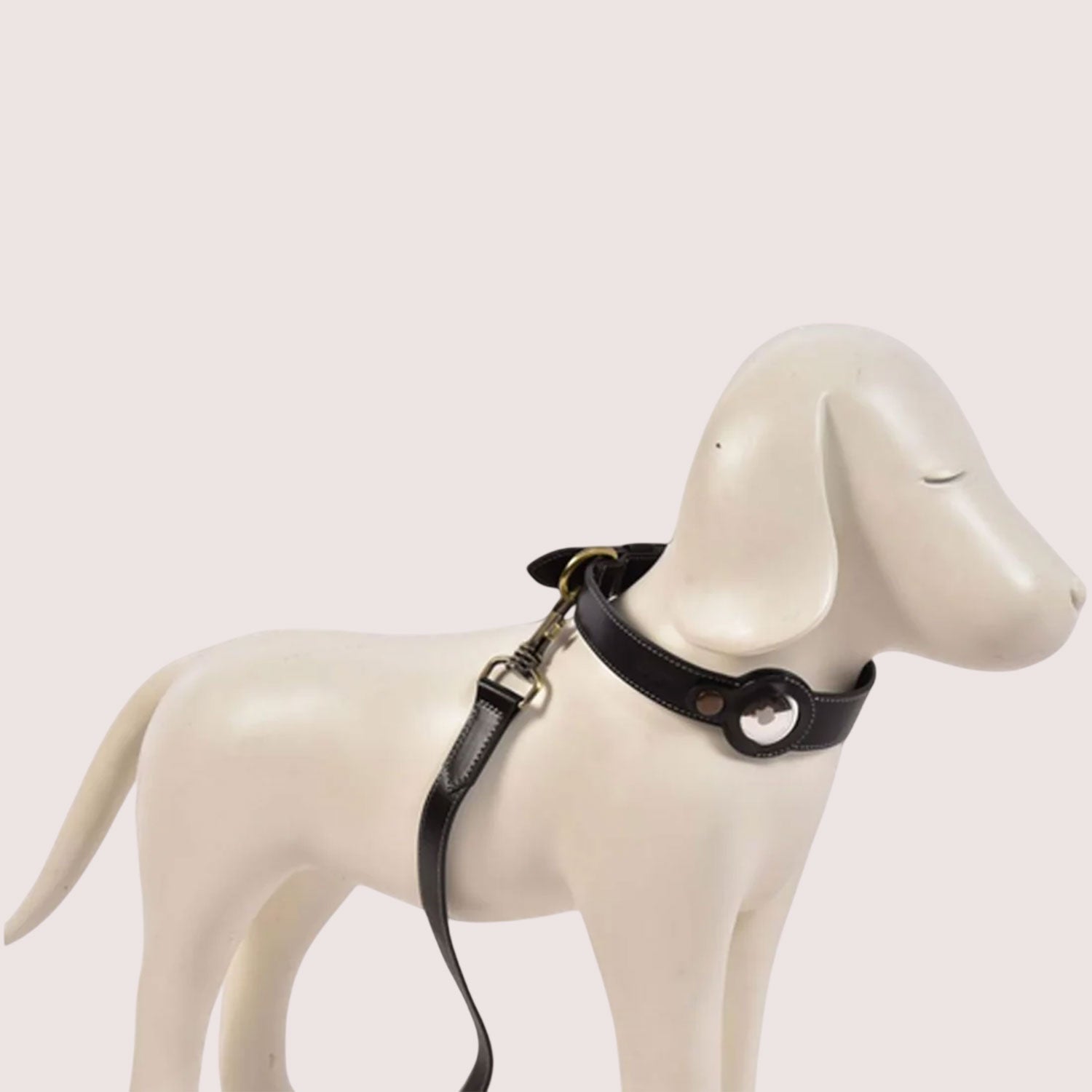 Dog Collar & Leash Combo