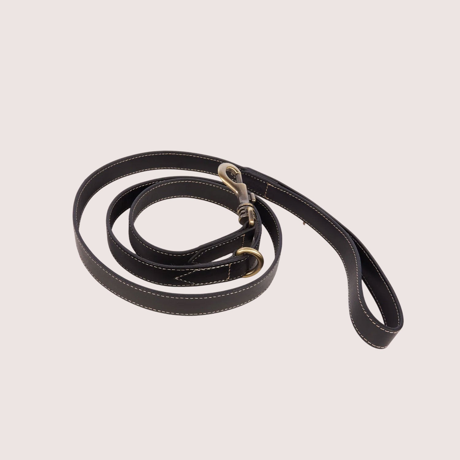 Dog Leash