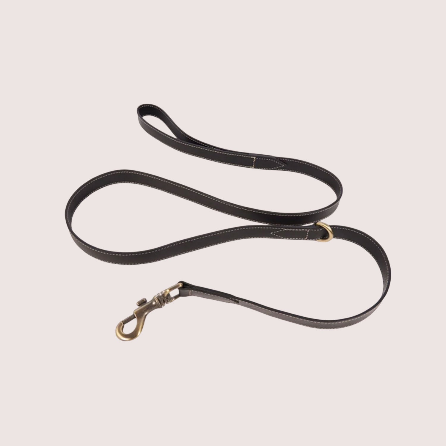 Dog Leash