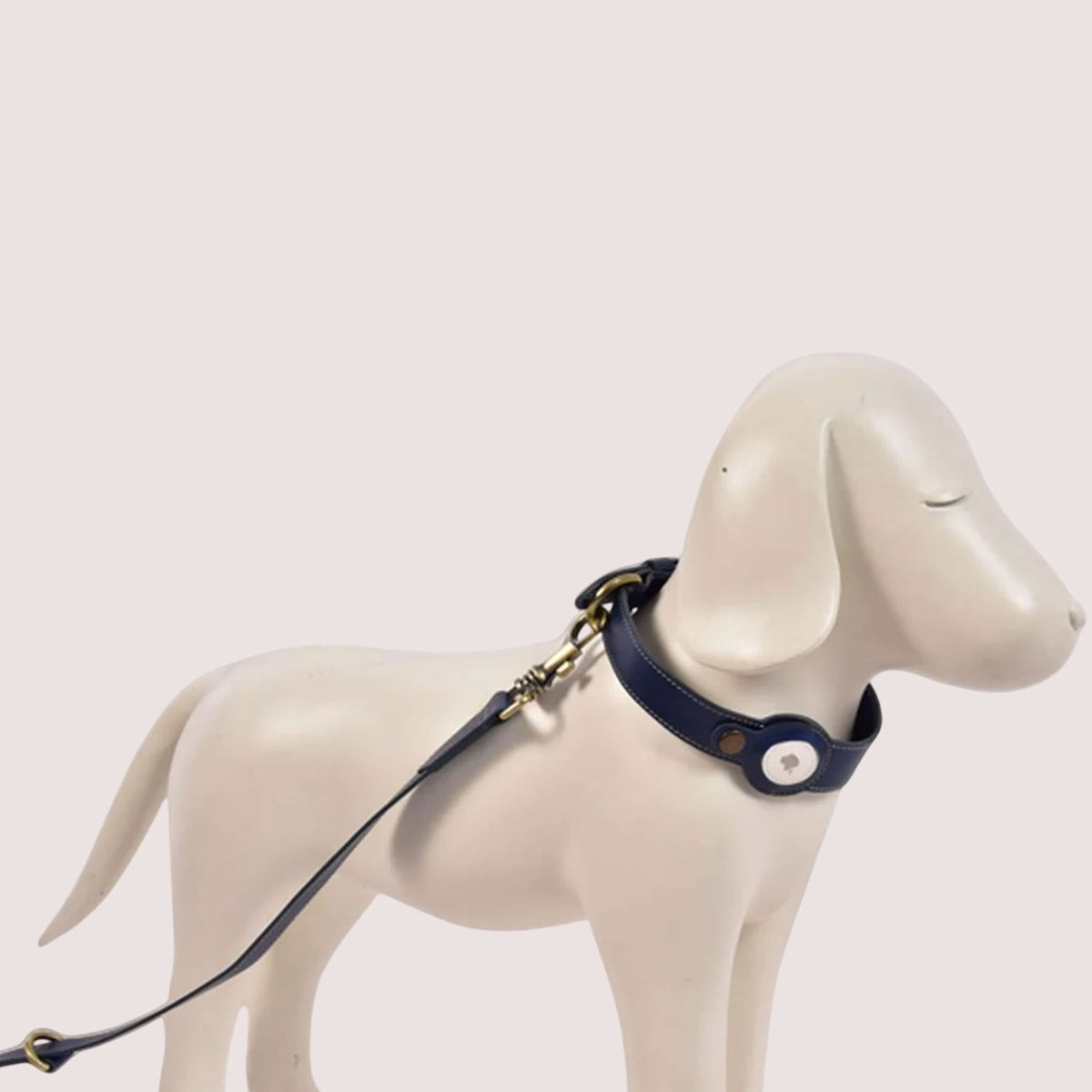 Dog Collar & Leash Combo-11