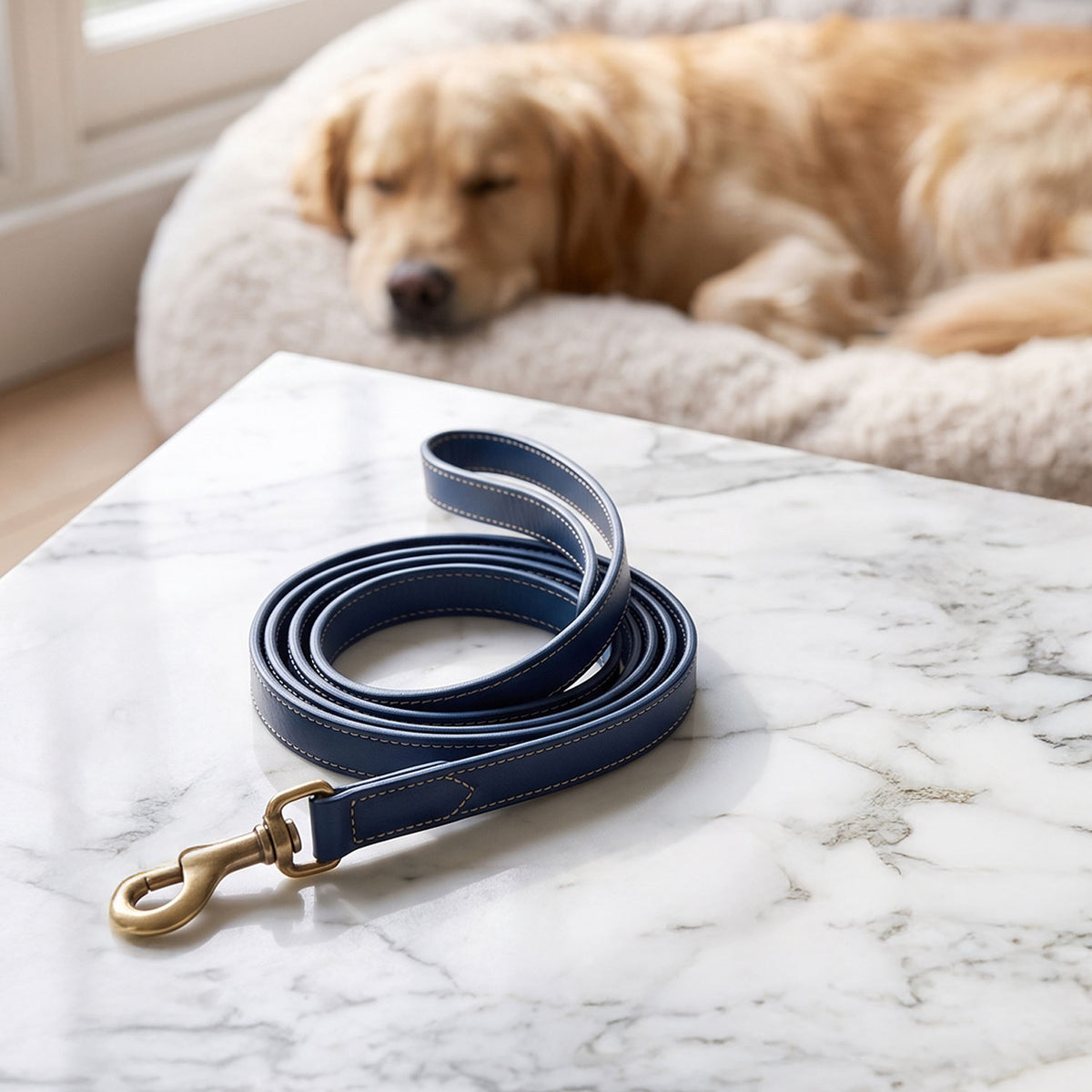 Dog Leash-12