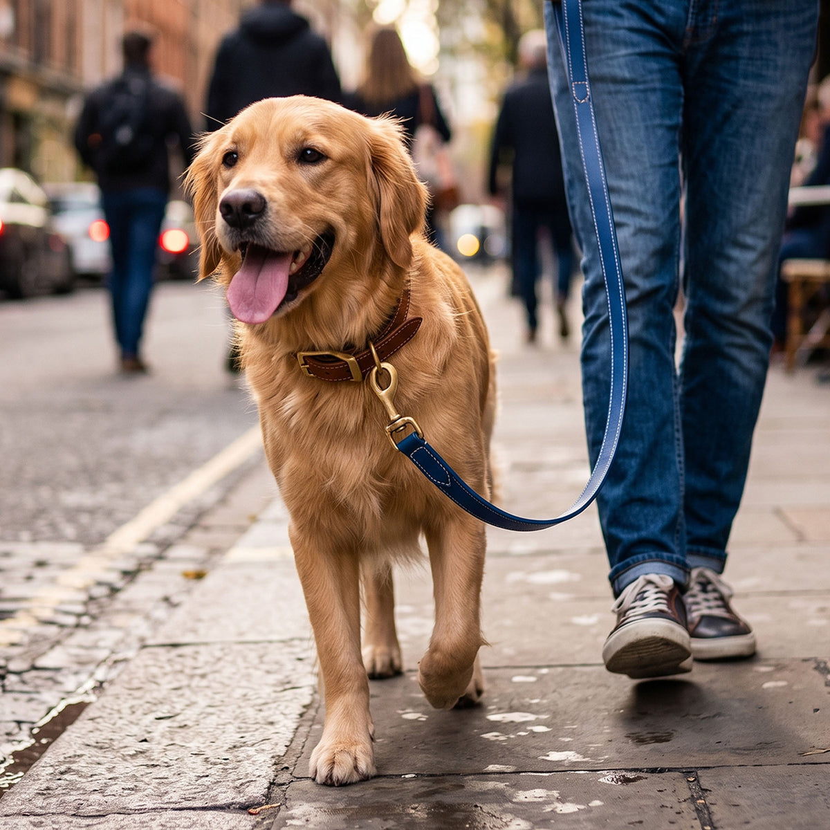 Dog Leash-14
