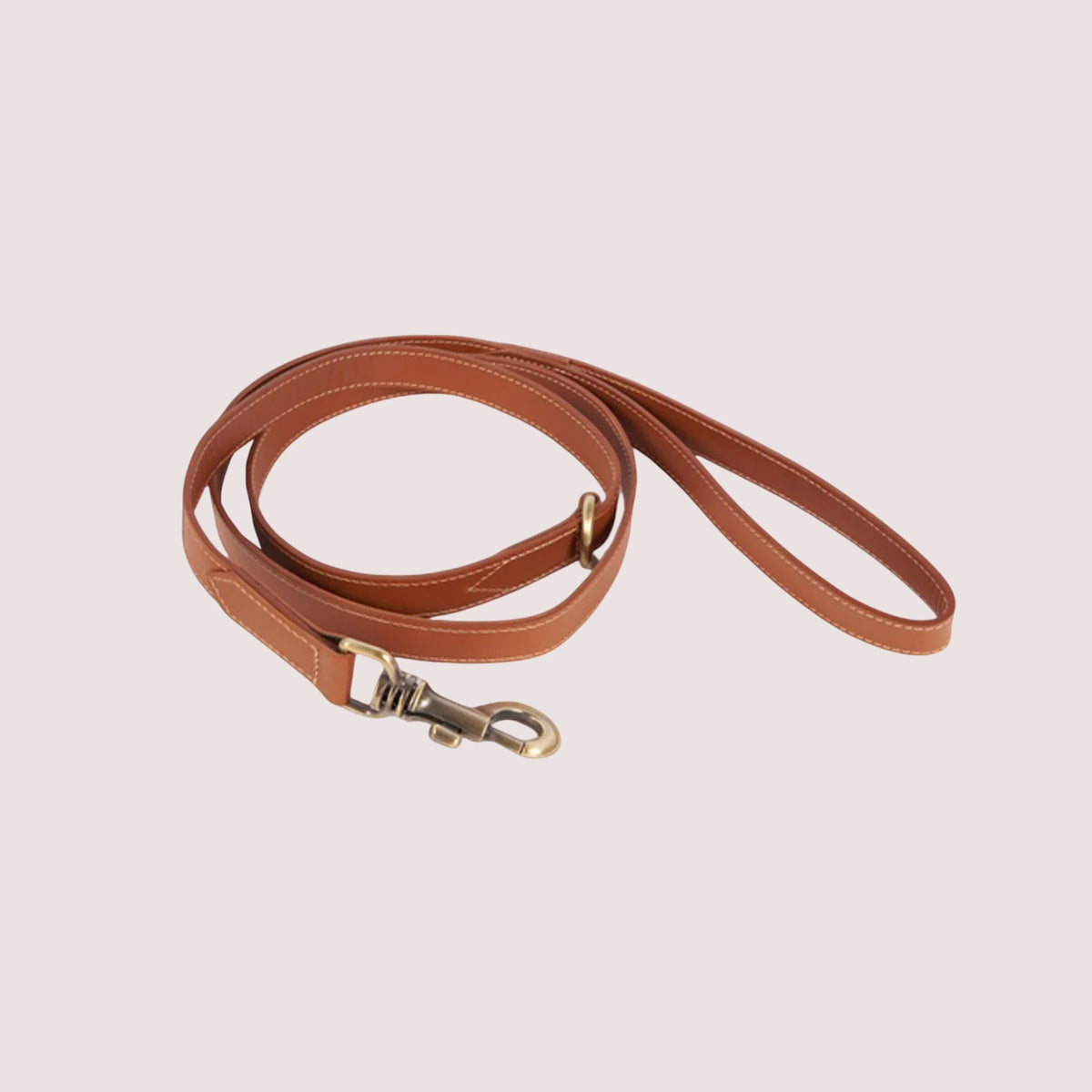 Dog Leash-15