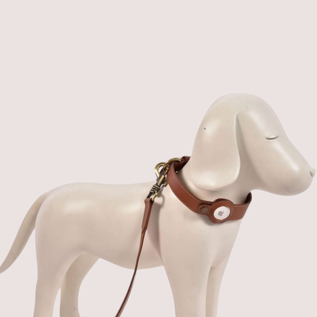 Dog Collar & Leash Combo-16