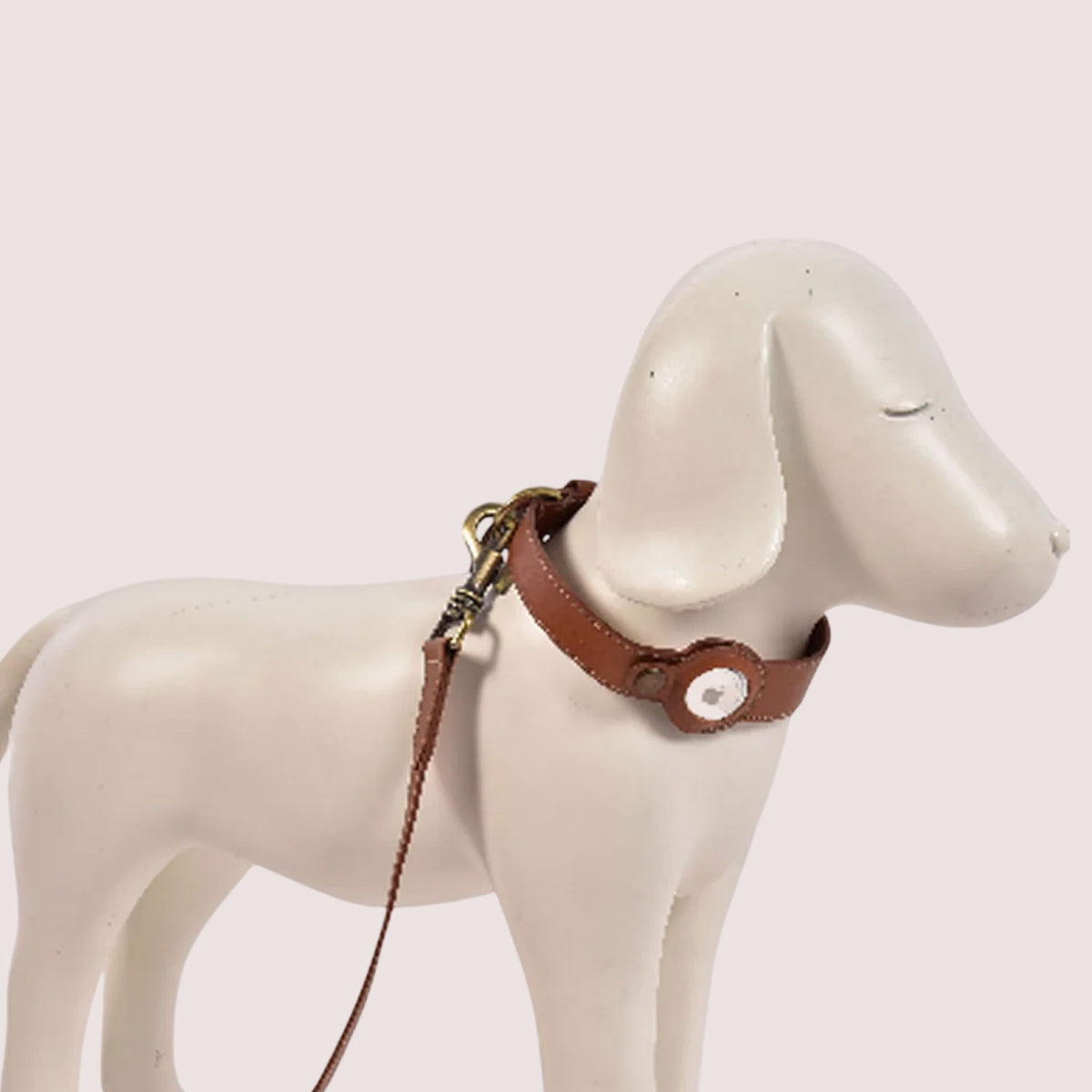 Dog Collar with Air Tag-15