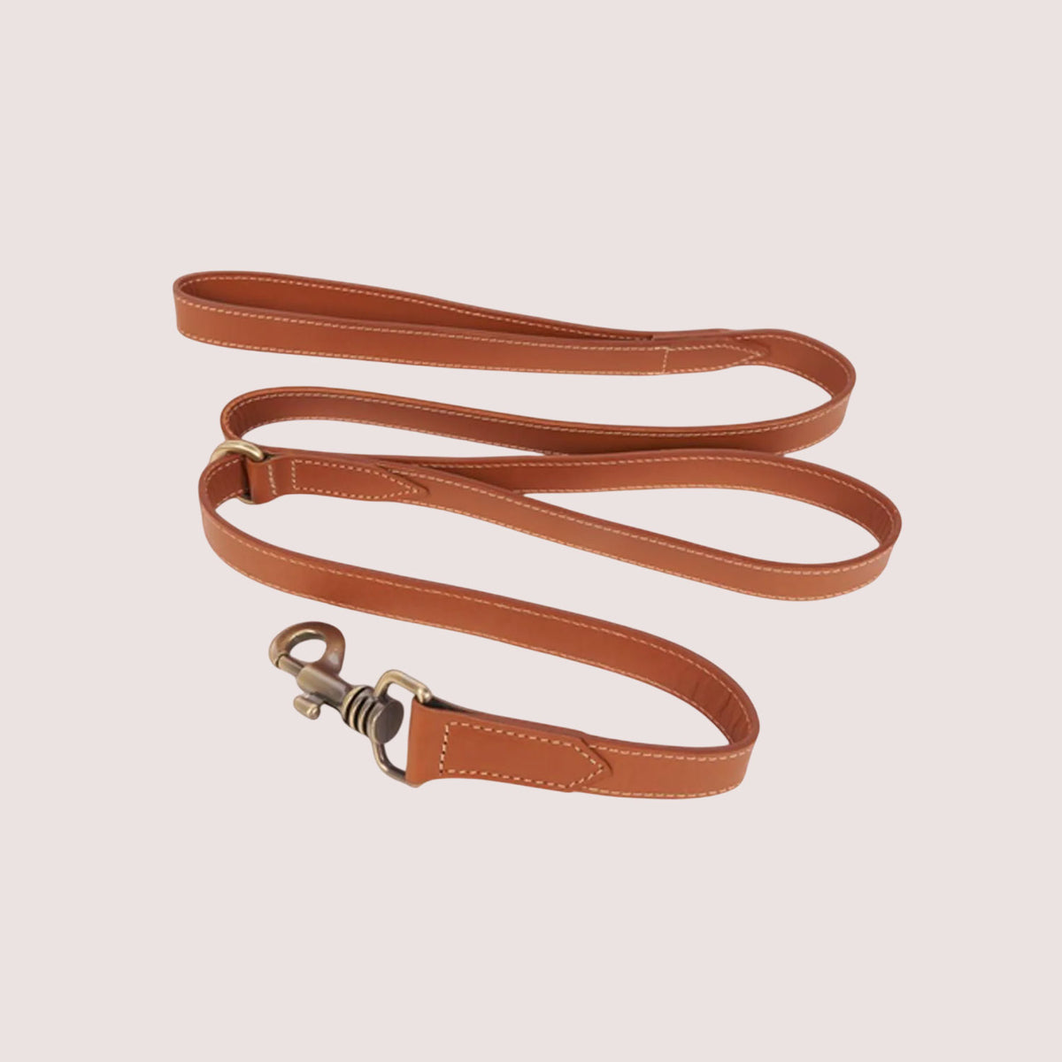 Dog Leash-16