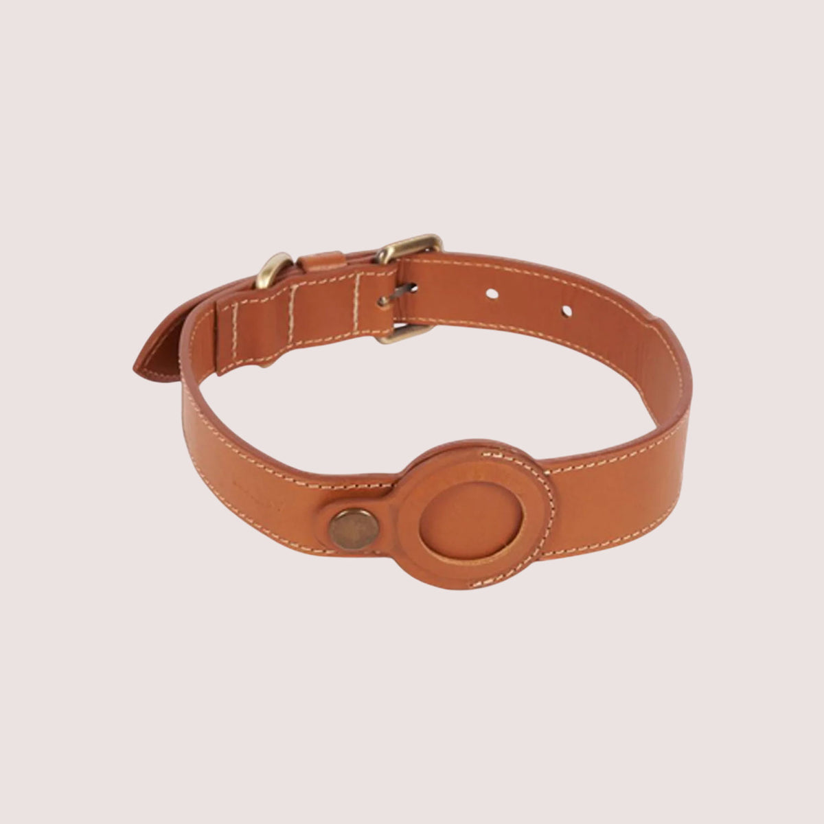 Dog Collar with Air Tag-16