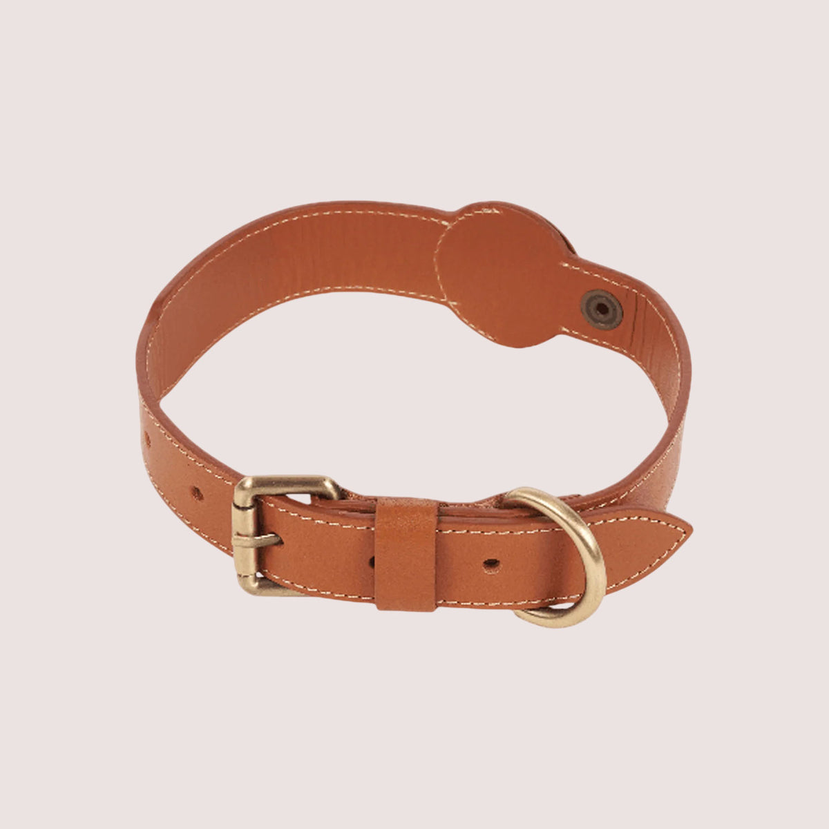 Dog Collar with Air Tag-17