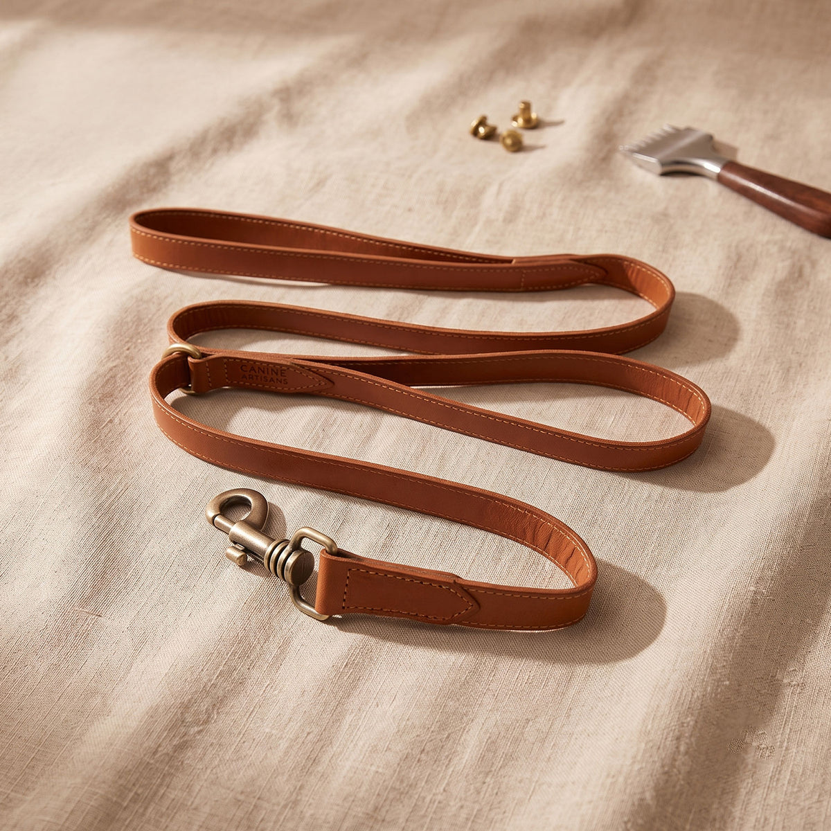 Dog Leash-17