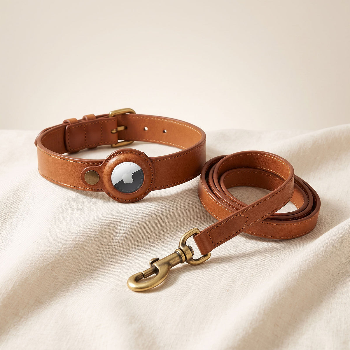 Dog Collar & Leash Combo-20