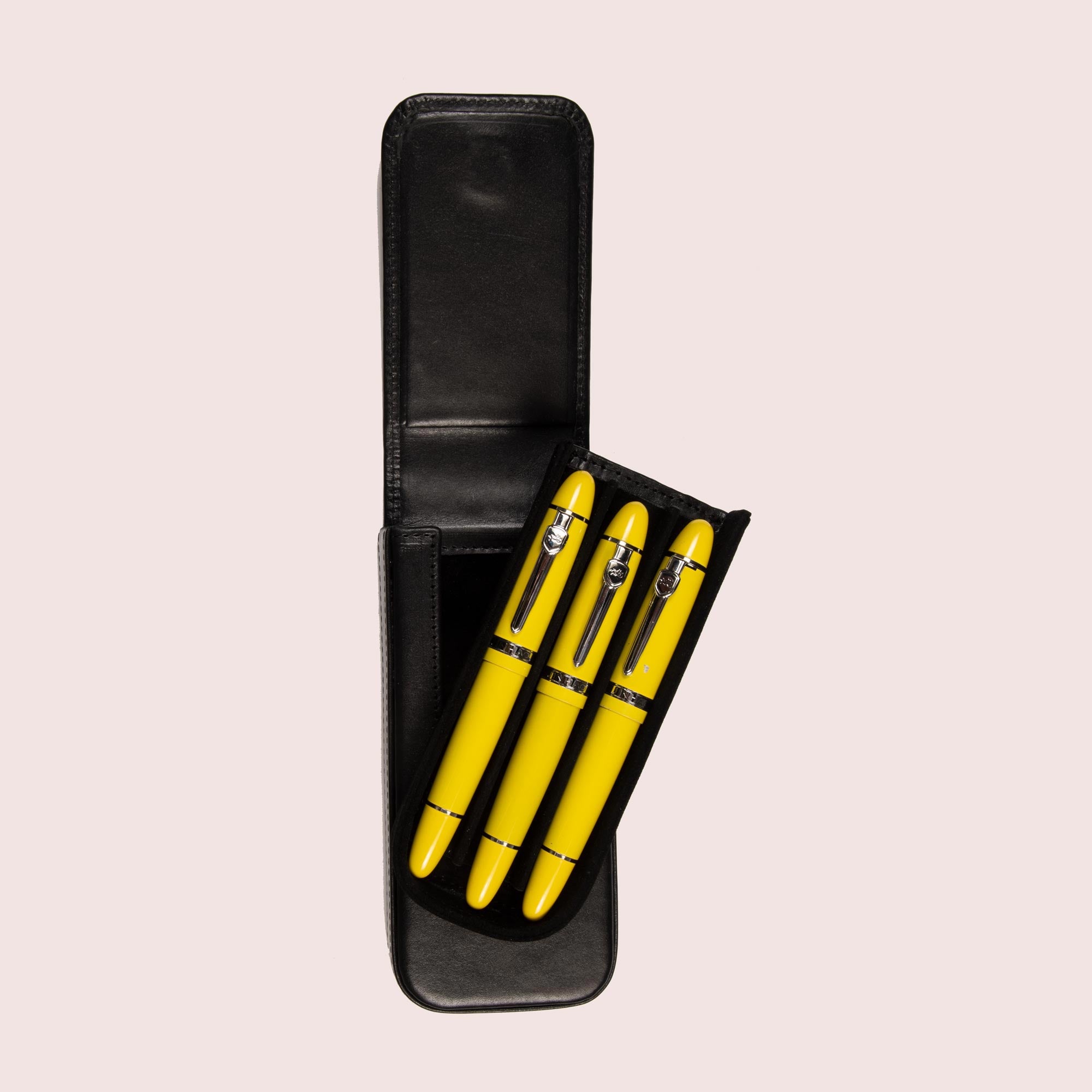 Pen Case with Three Slots