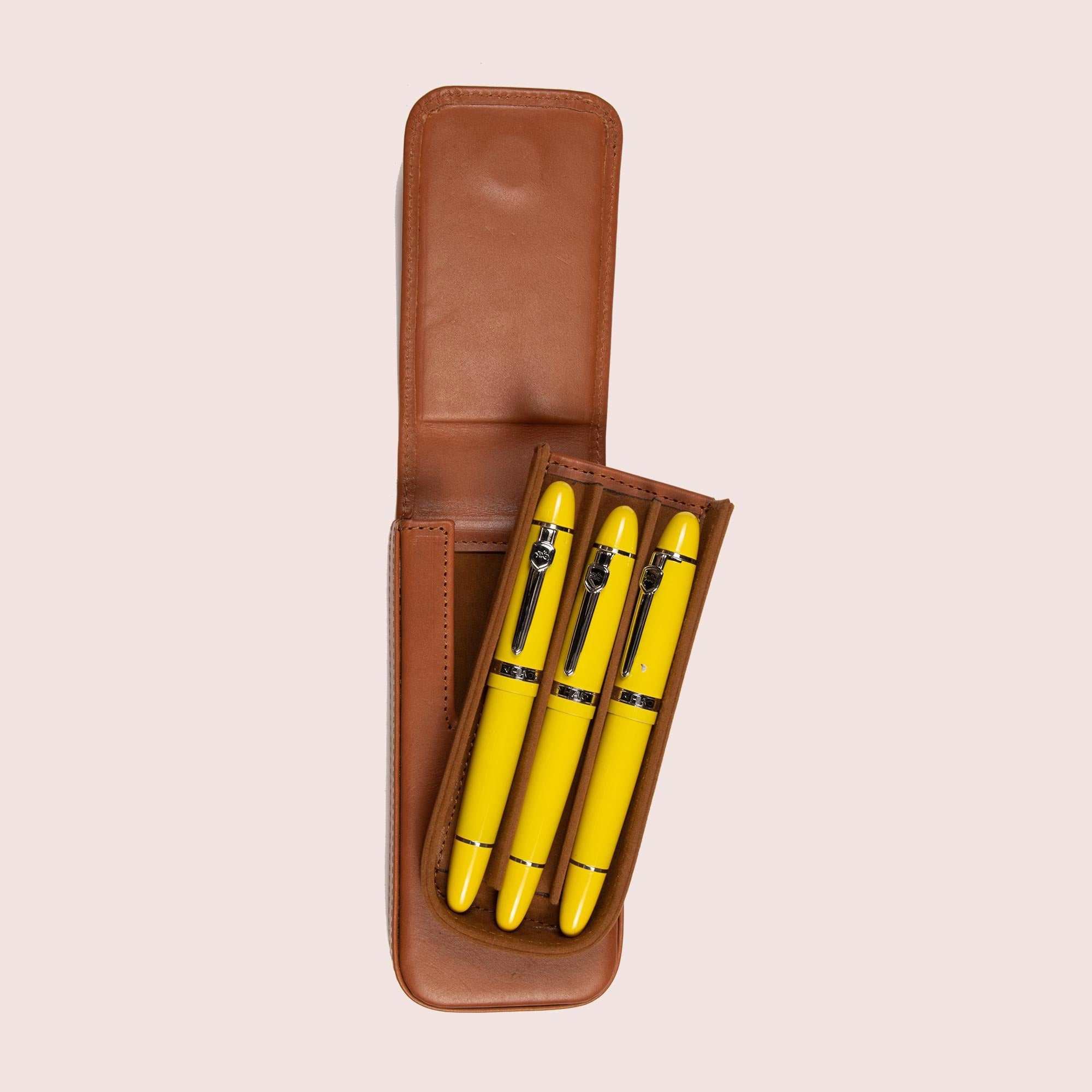 Pen Case With Three Slots-20