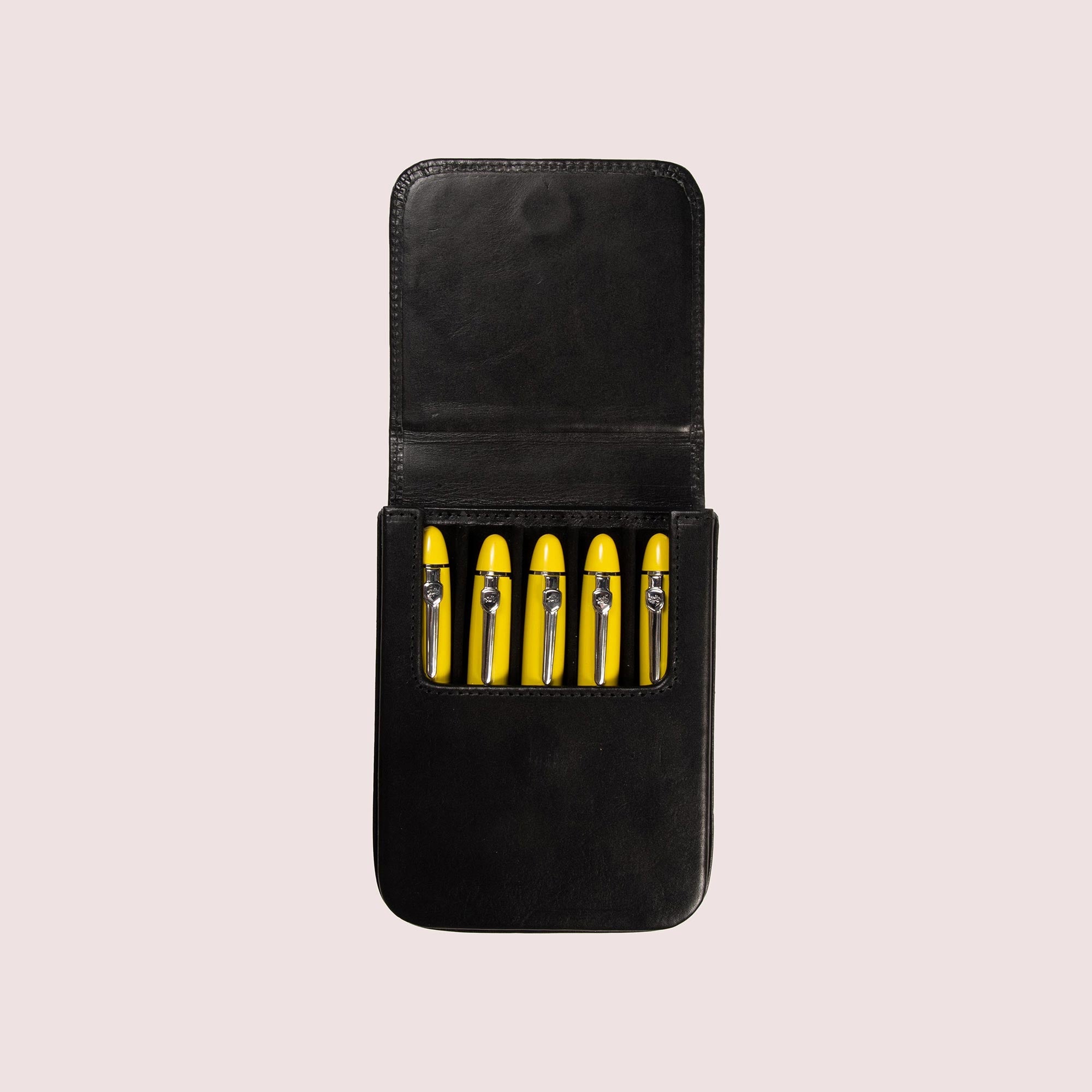 Five Slots Pen Case-24
