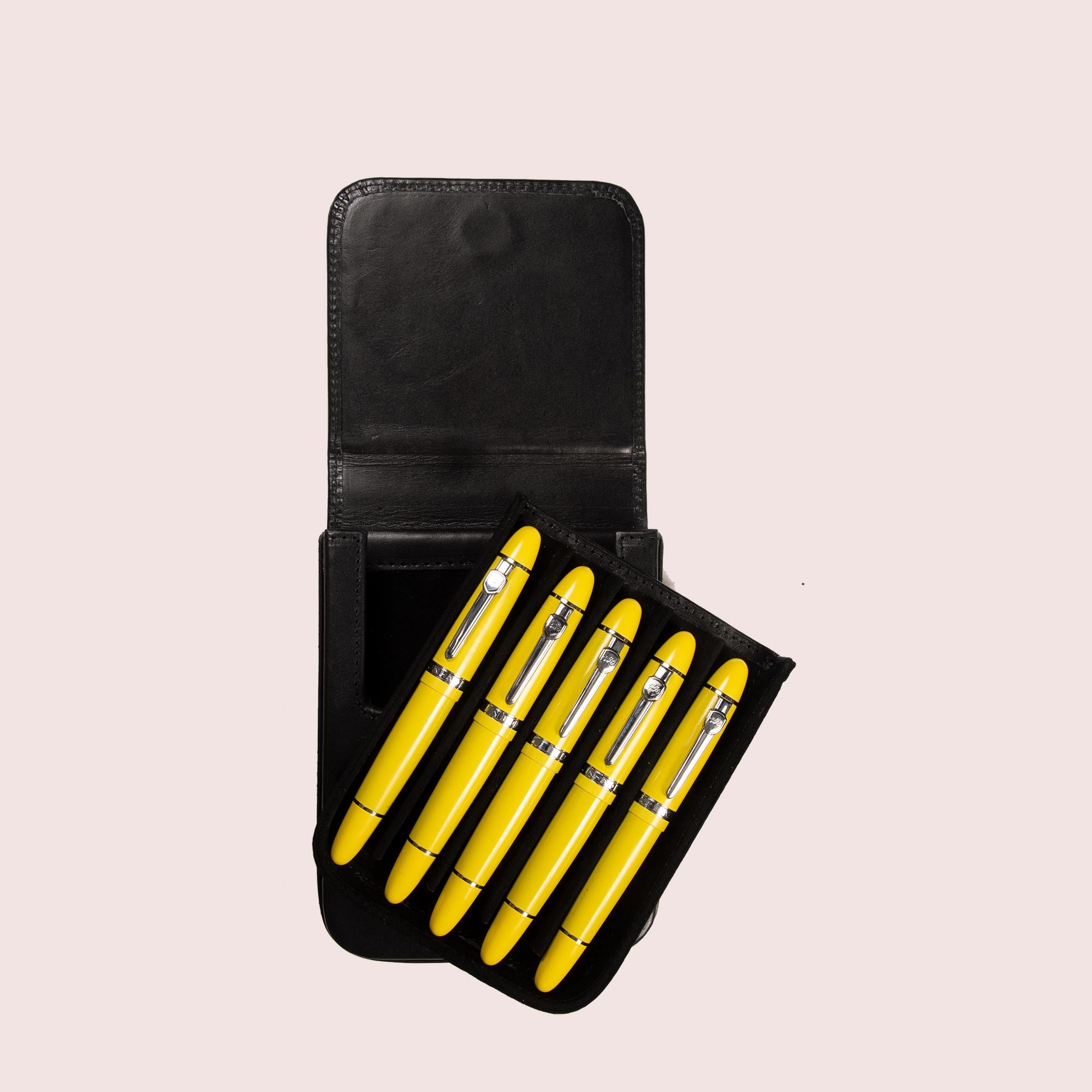 Five Slots Pen Case