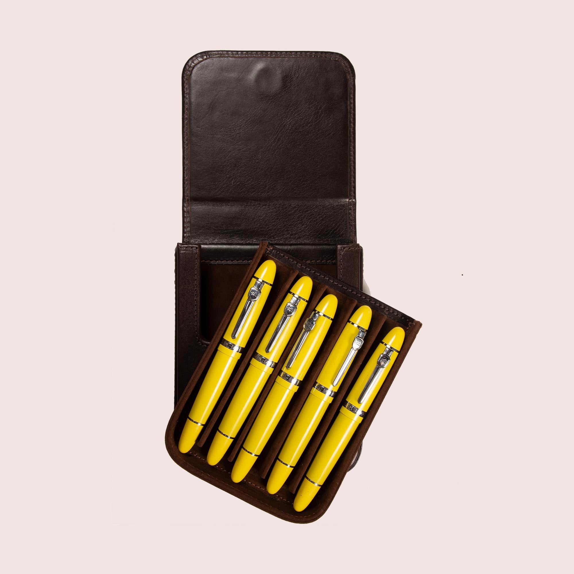 Five Slots Pen Case