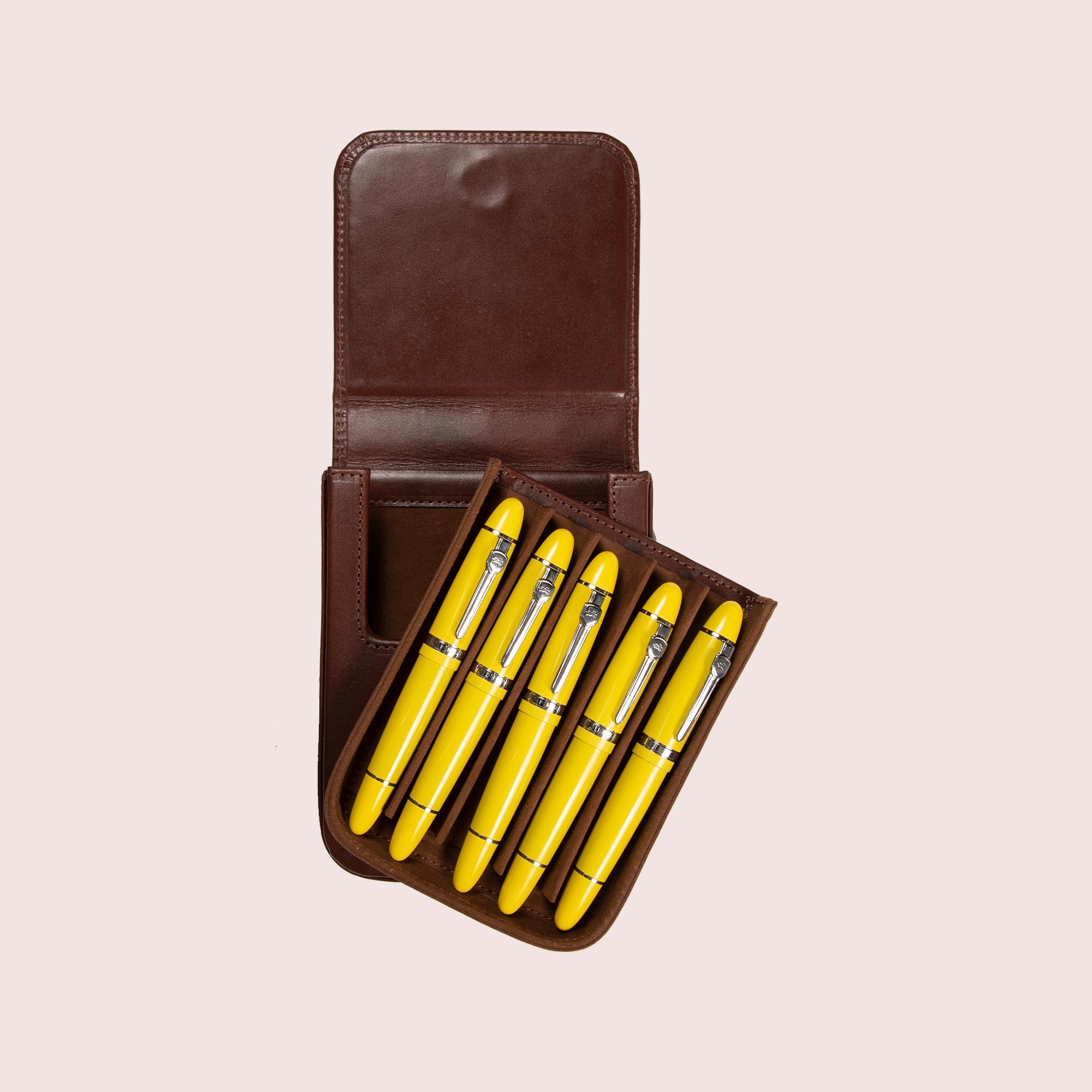 Five Slots Pen Case-12