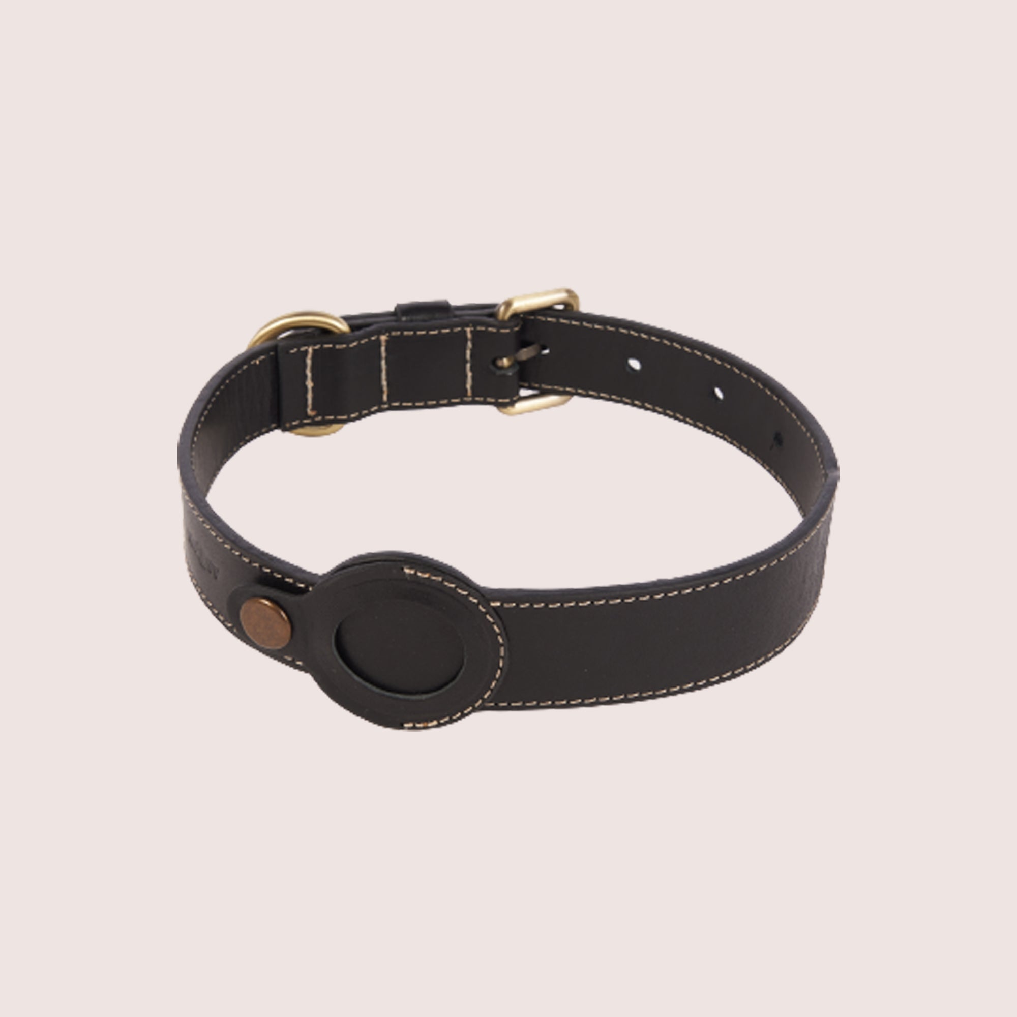 Dog Collar with Air Tag-6