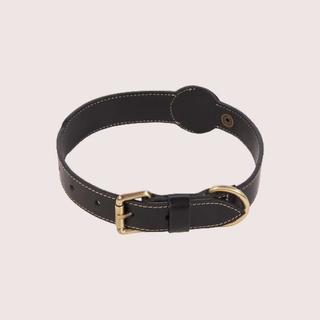 Dog Collar with Air Tag & Leash