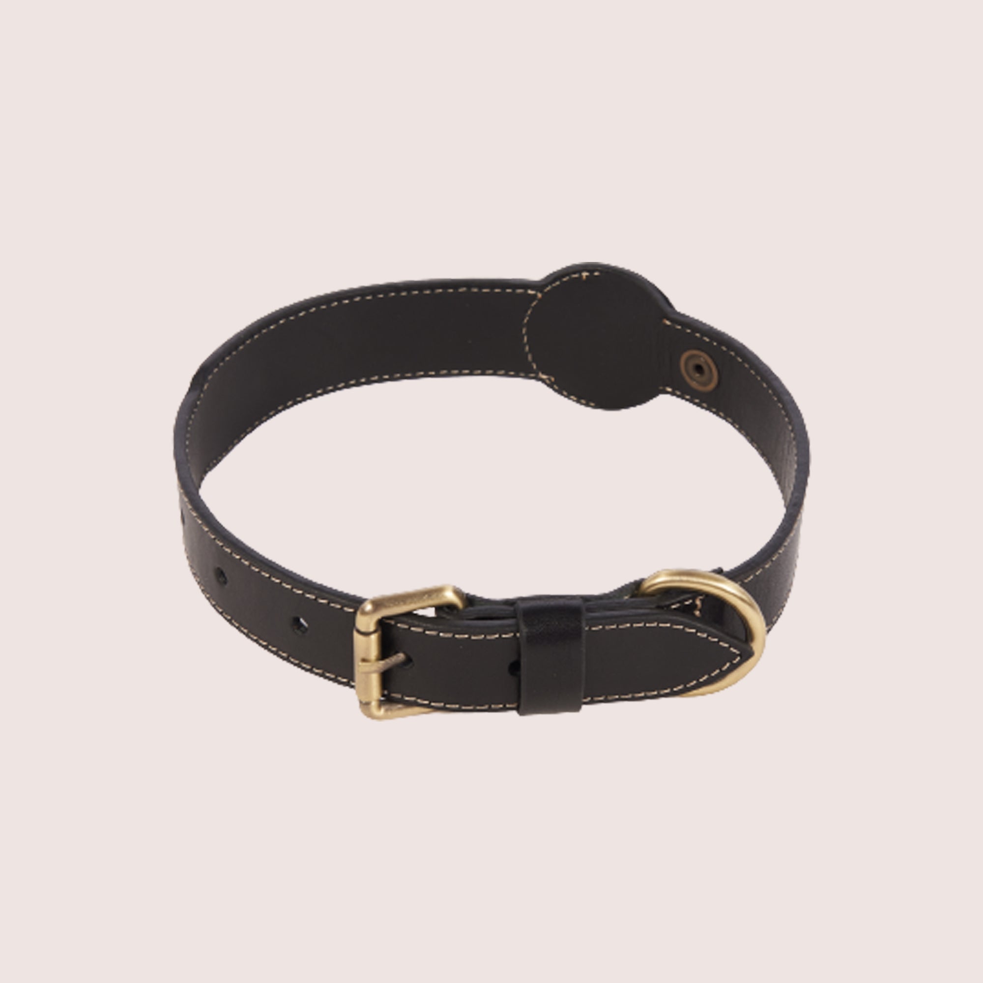 Dog Collar with Air Tag & Leash