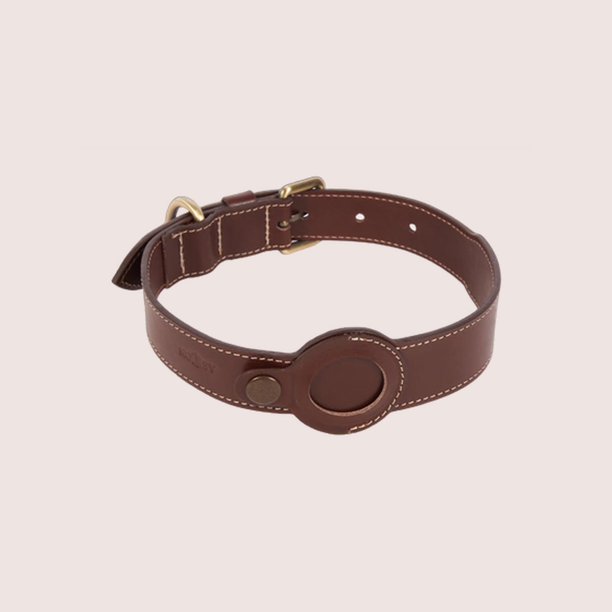 Dog Collar with Air Tag & Leash
