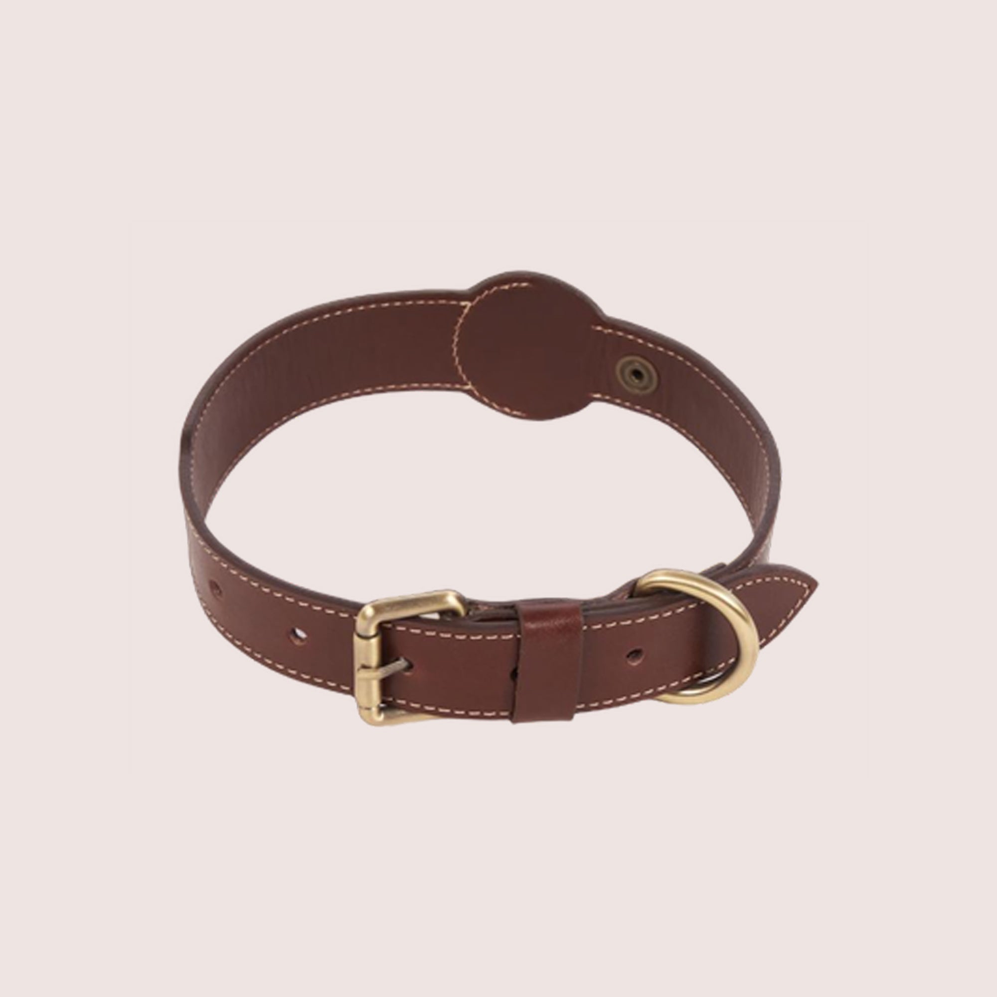 Dog Collar with Air Tag & Leash