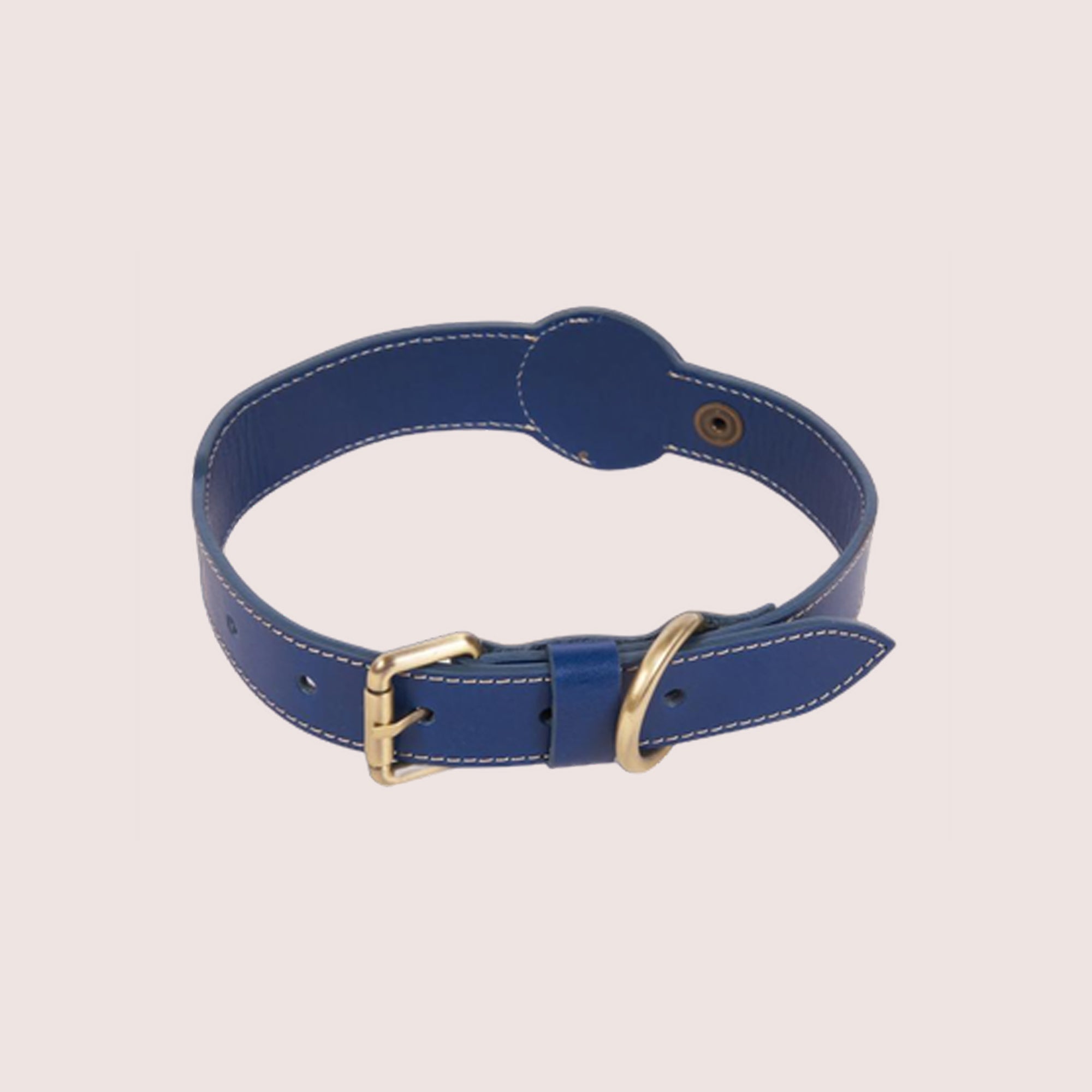 Dog Collar with Air Tag & Leash