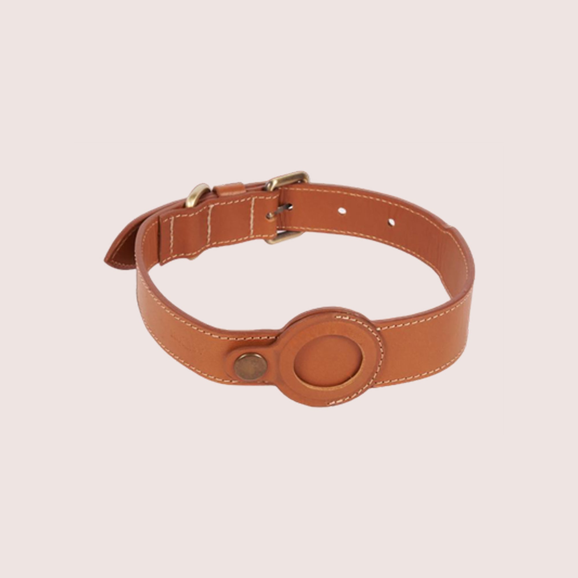 Dog Collar with Air Tag & Leash