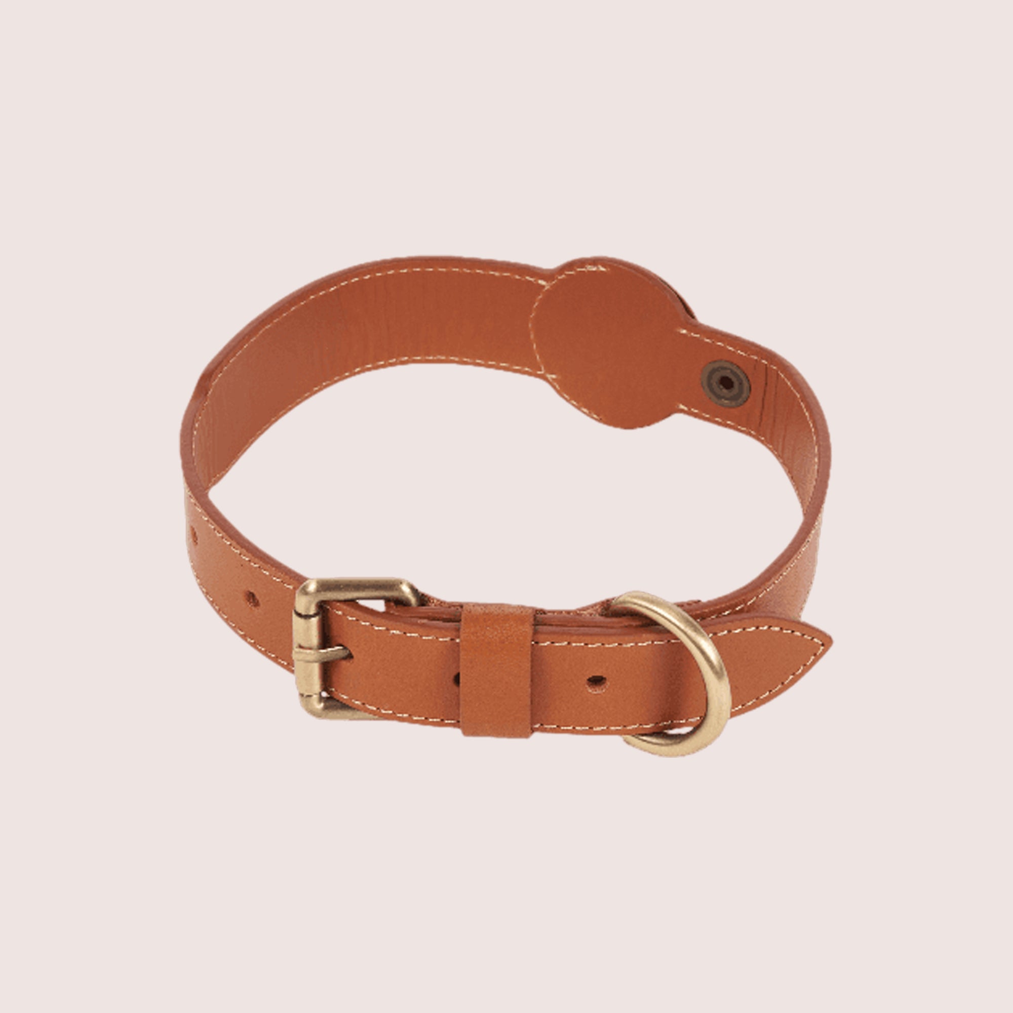 Dog Collar with Air Tag & Leash