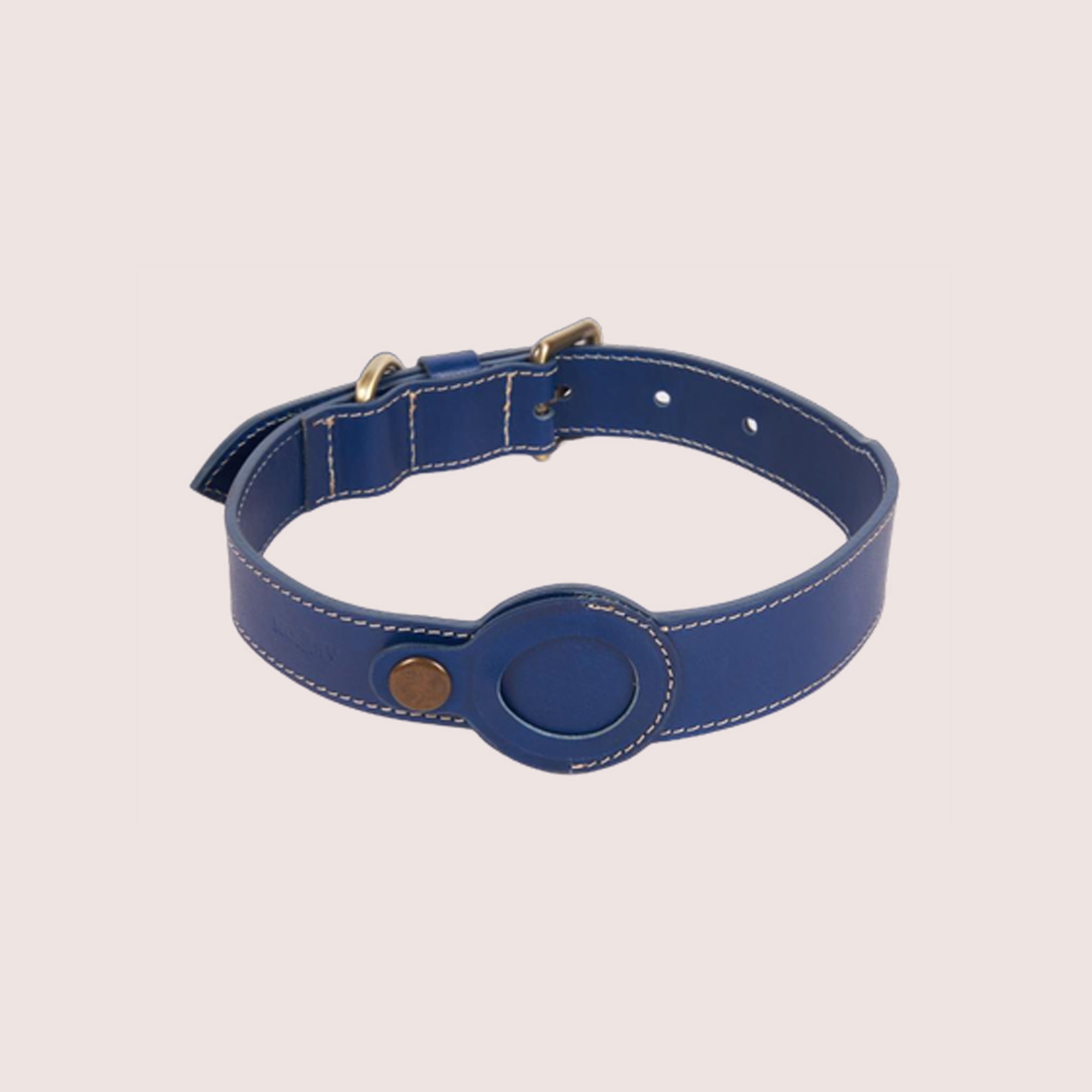 Dog Collar with Air Tag & Leash