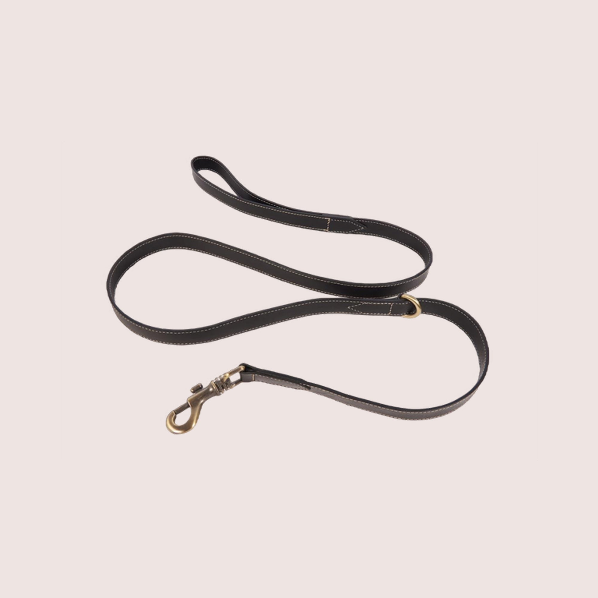 Dog Leash