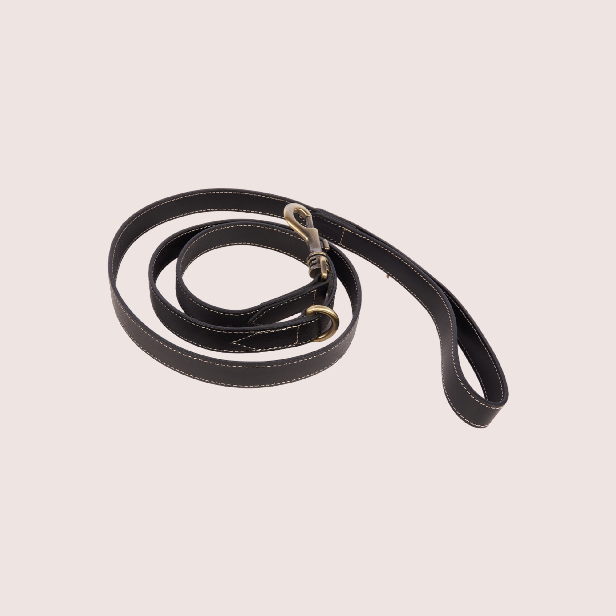 Dog Leash