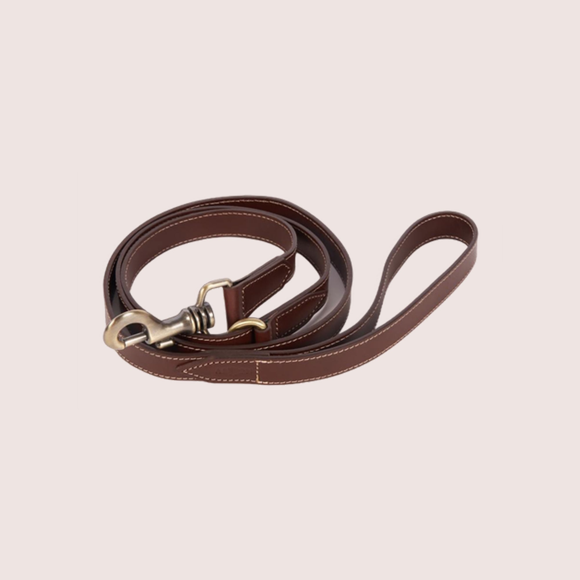 Dog Leash-6