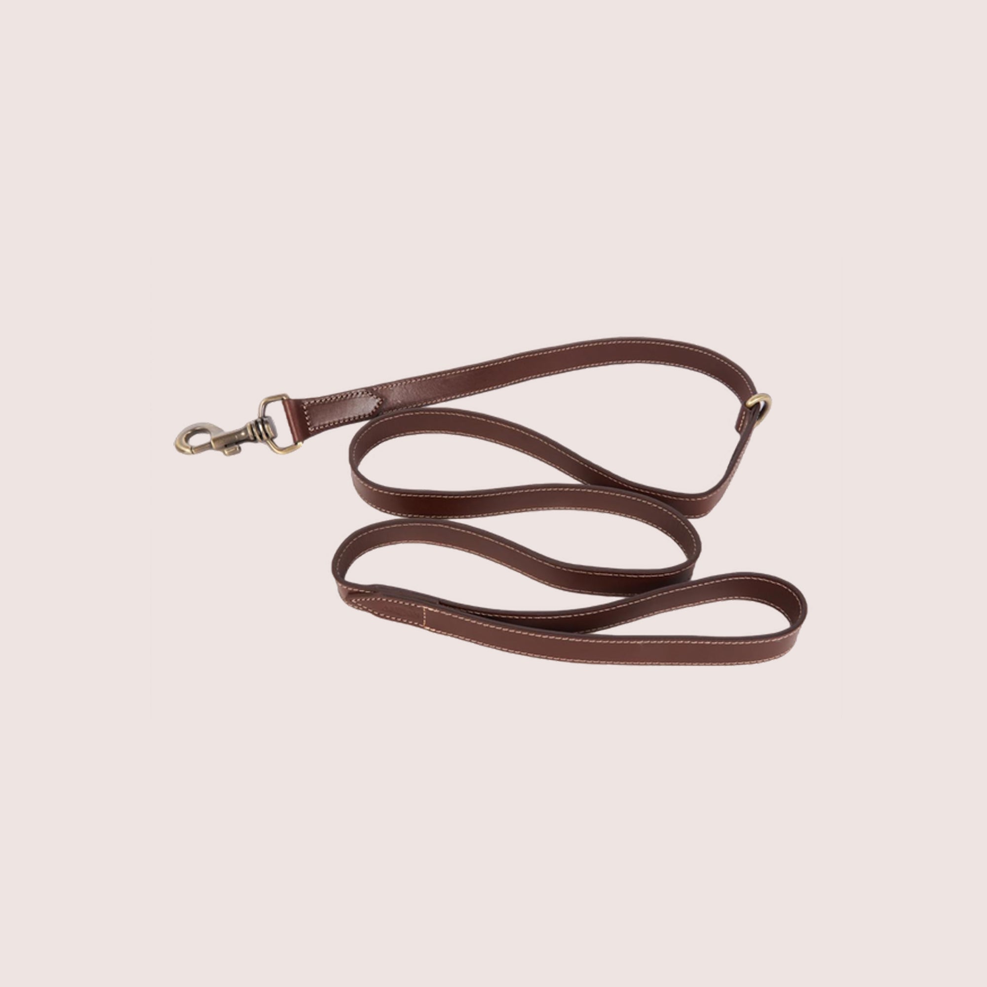 Dog Leash-7
