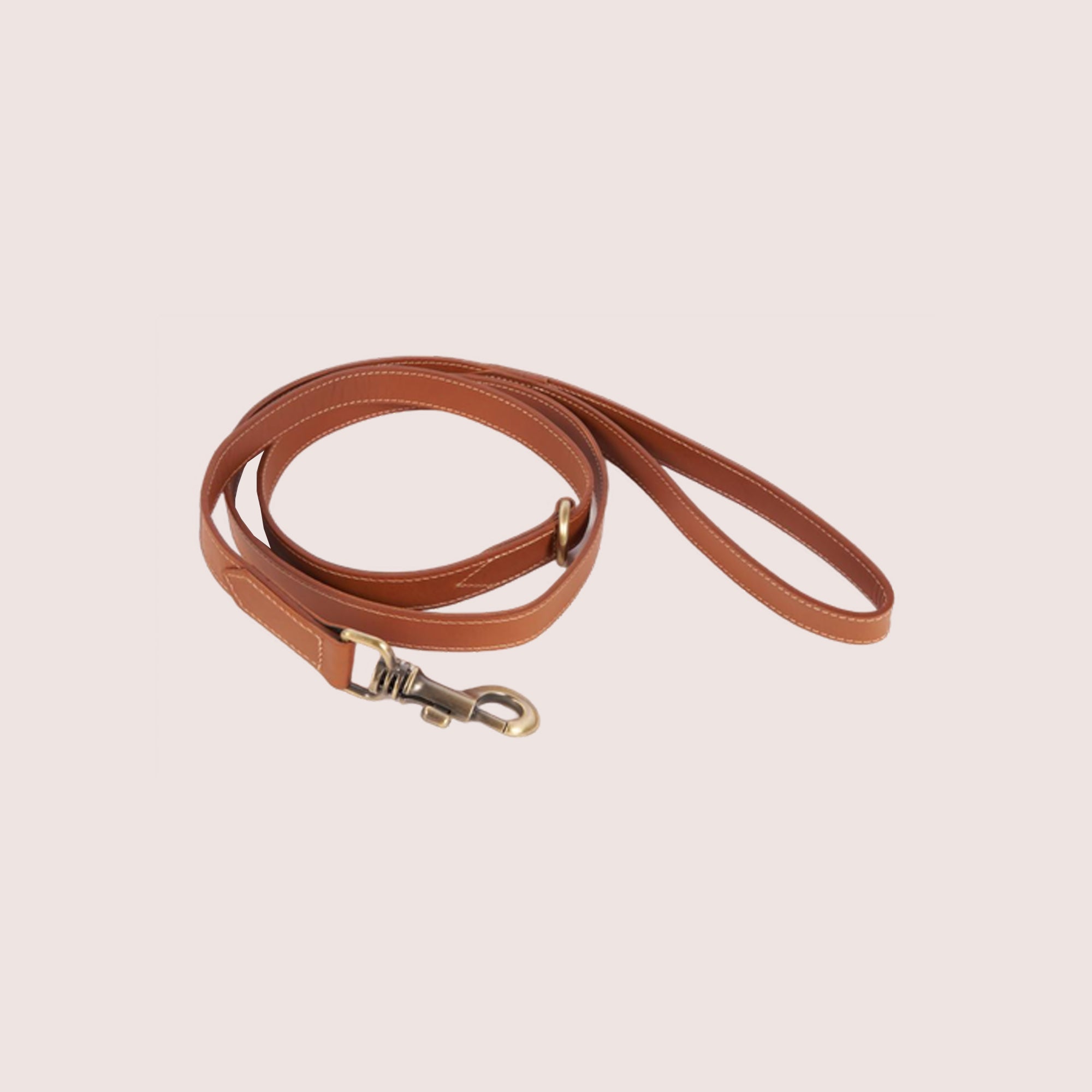 Dog Leash-10