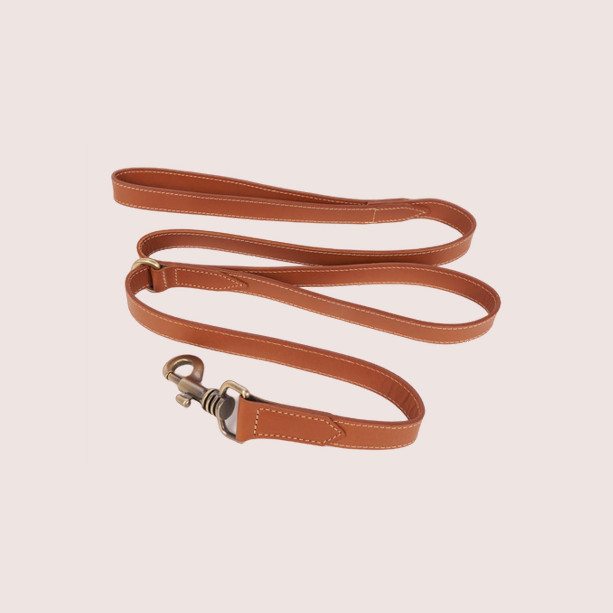 Dog Leash-11