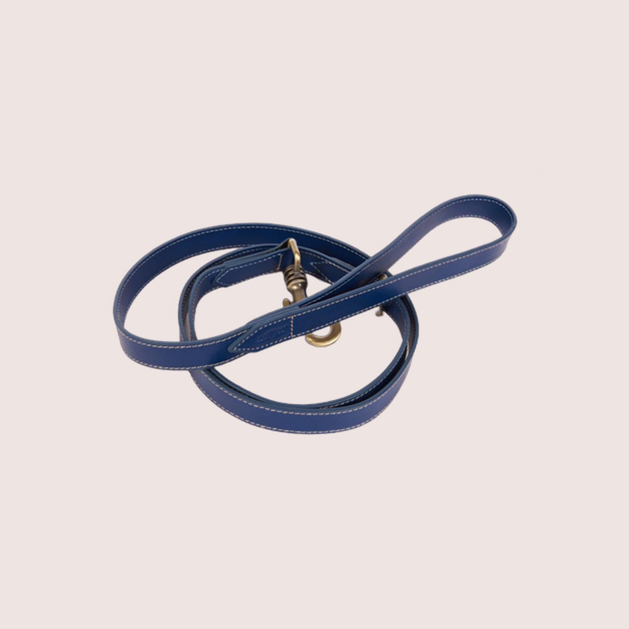 Dog Leash-8