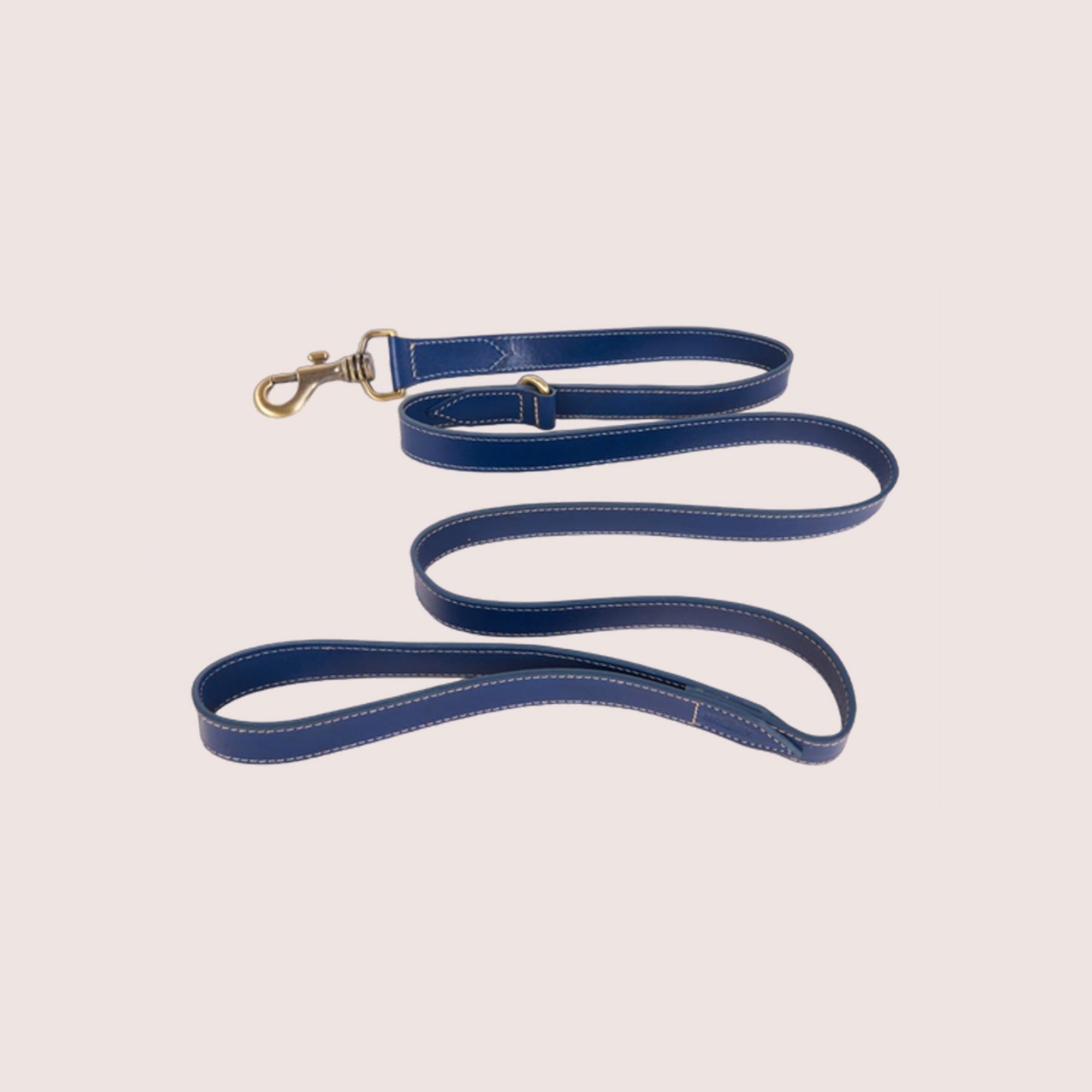 Dog Leash-9