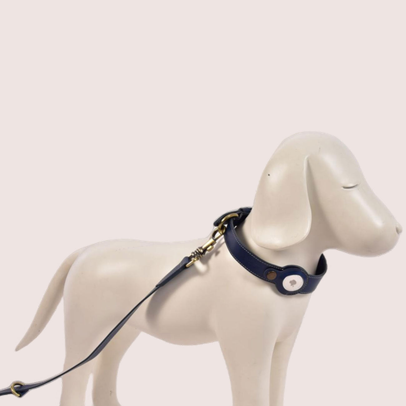 Dog Collar & Leash Combo-3