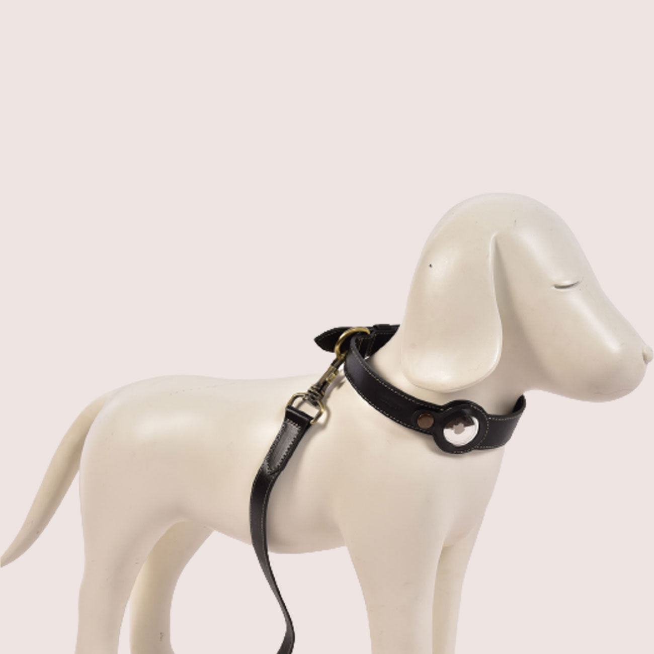 Dog Collar & Leash Combo